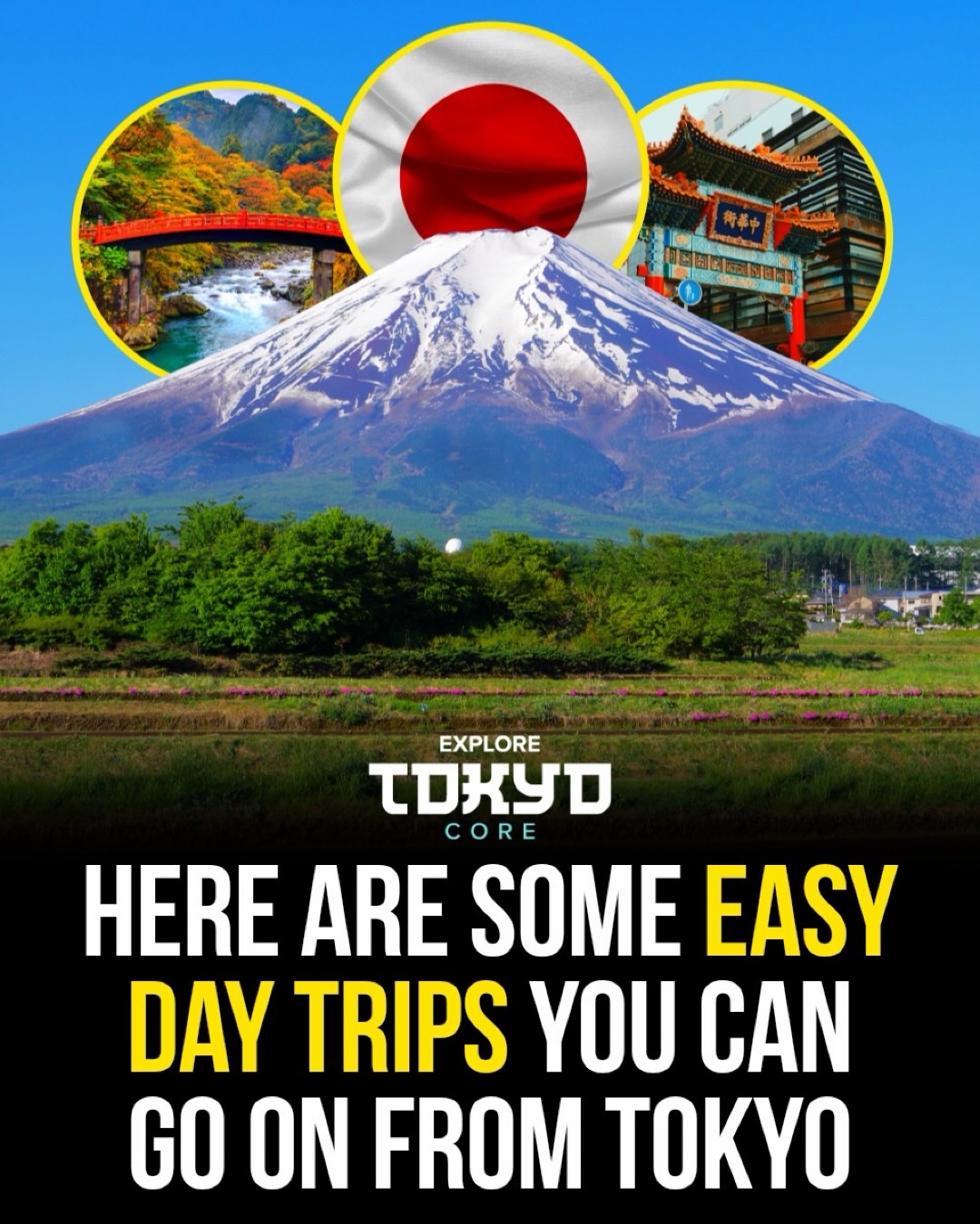 Tokyo Day Trips Featuring Mount Fuji Views