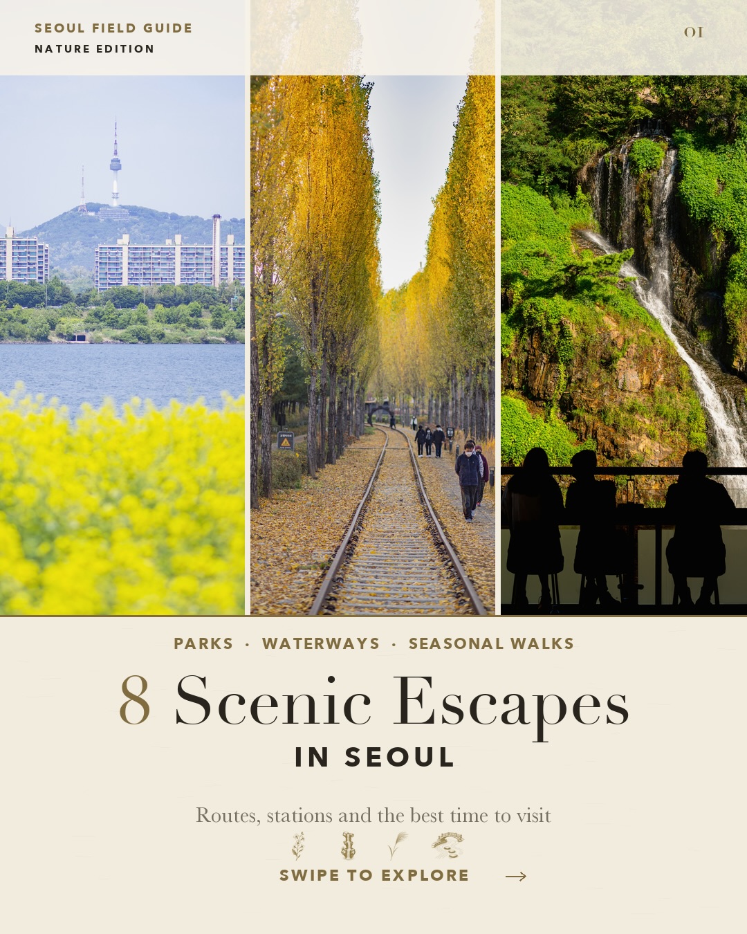 Discover Nature's Beauty Across Seoul's Parks and Trails