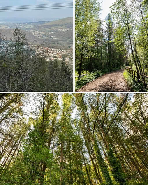 Outdoor Adventures in Rhondda Cynon Taf