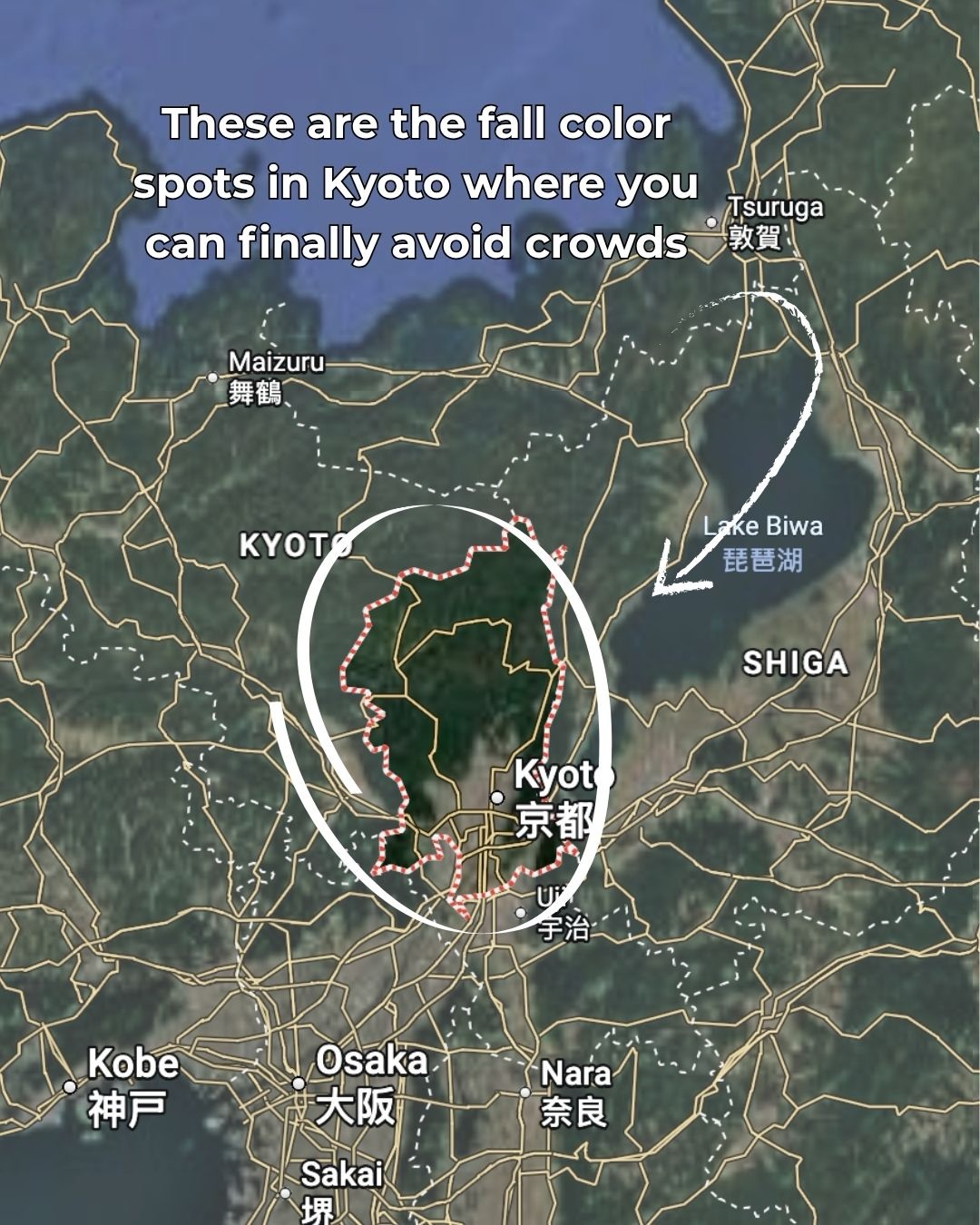 Kyoto's Secluded Autumn Color Destinations