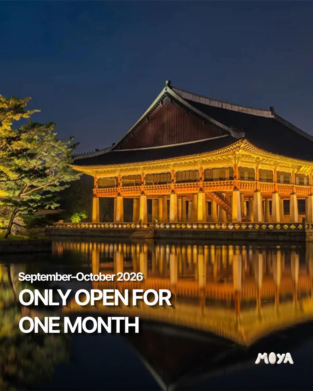 Gyeongbokgung Palace Night Opening Highlights