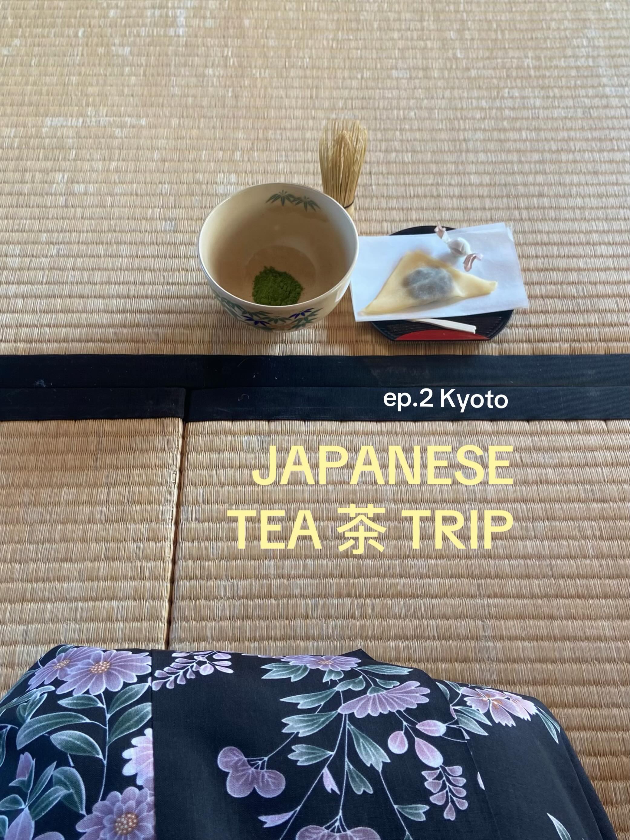 Kyoto Tea Experiences And Potter's Treasures