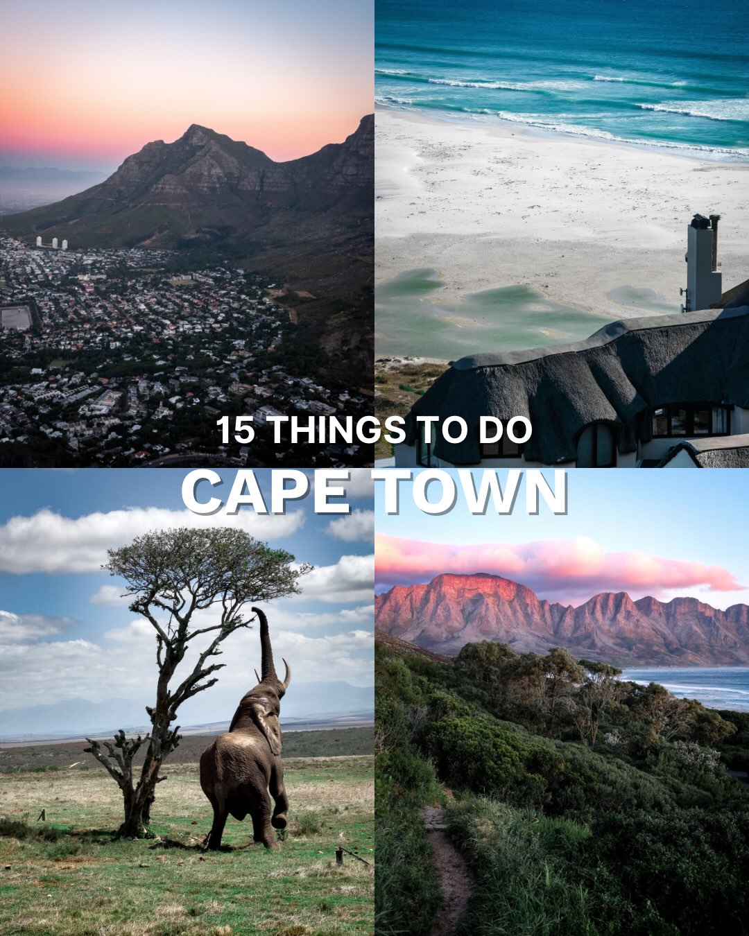 Cape Town's Top 15 Attractions and Experiences
