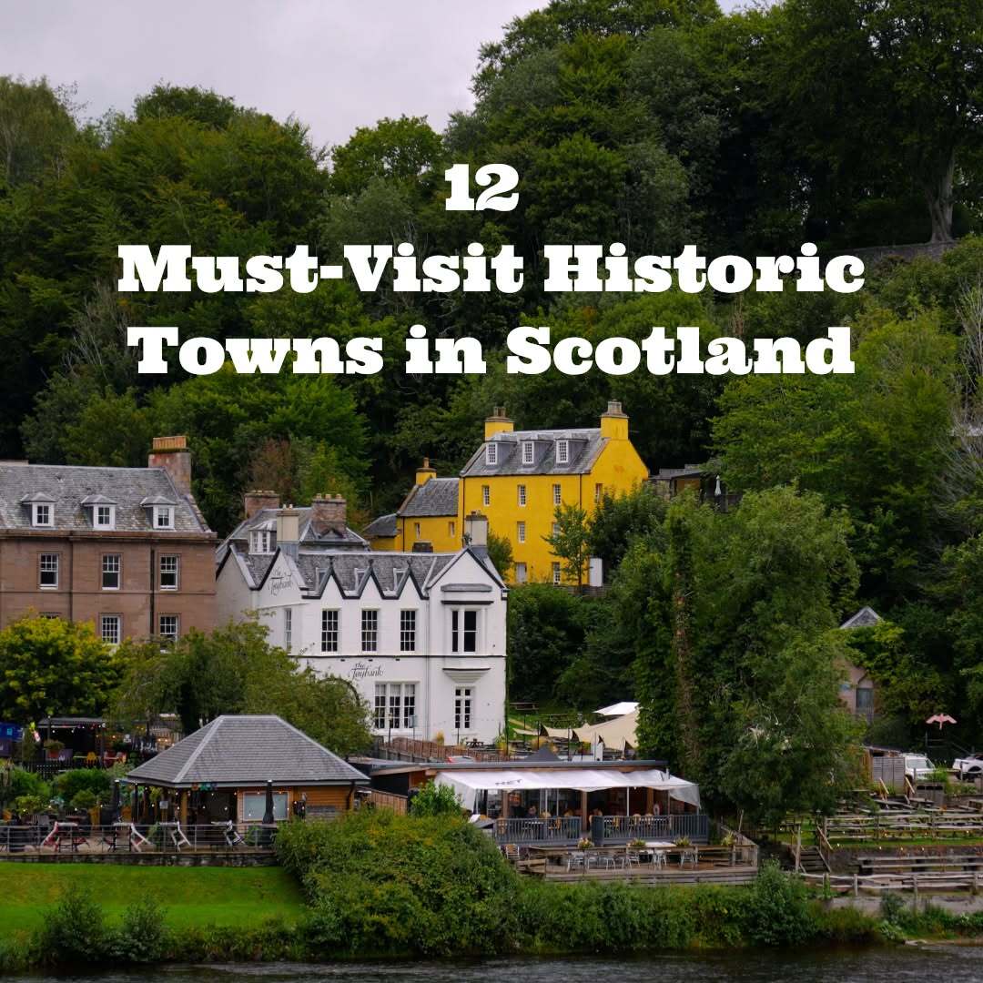 Scottish Local Gems To Discover