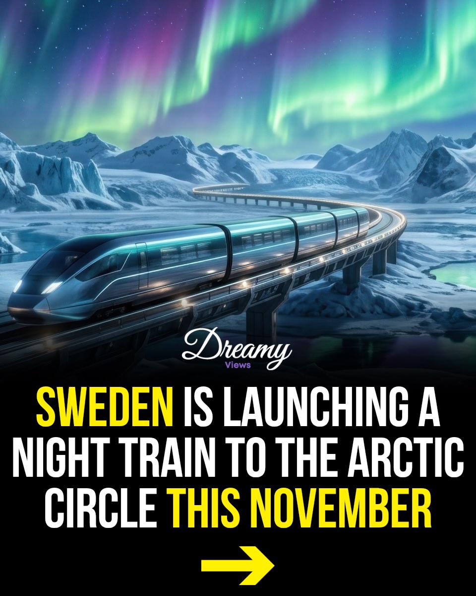 Overnight Train Journey to the Arctic Circle