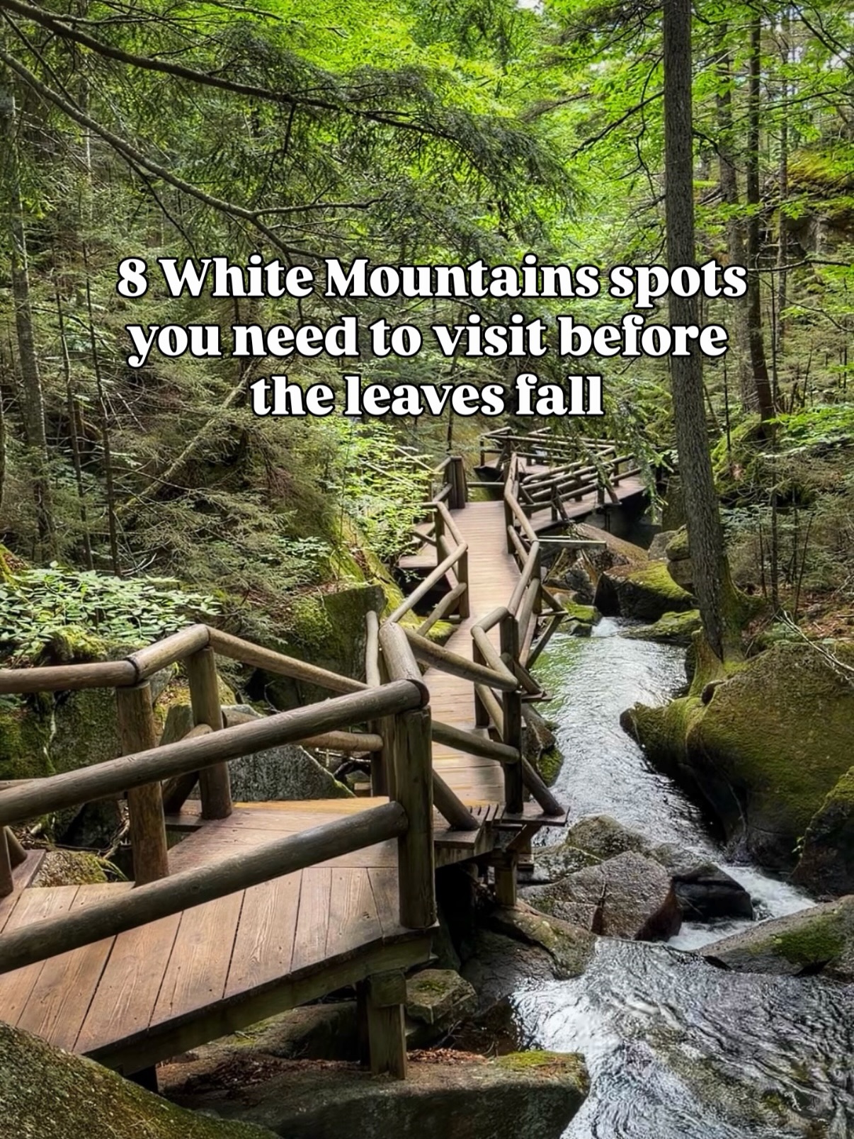White Mountains Fall Adventures and Leaf Peeping