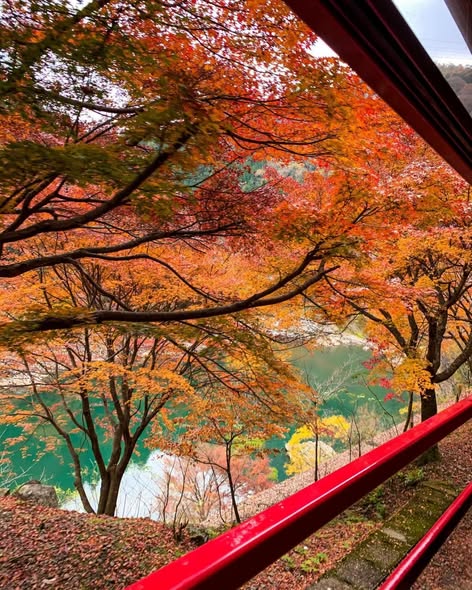 Kyoto's Autumn Foliage Hotspots With Special Viewing