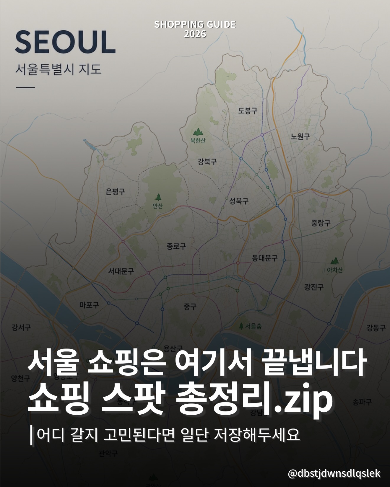 Seoul's Diverse Shopping Districts and Stores