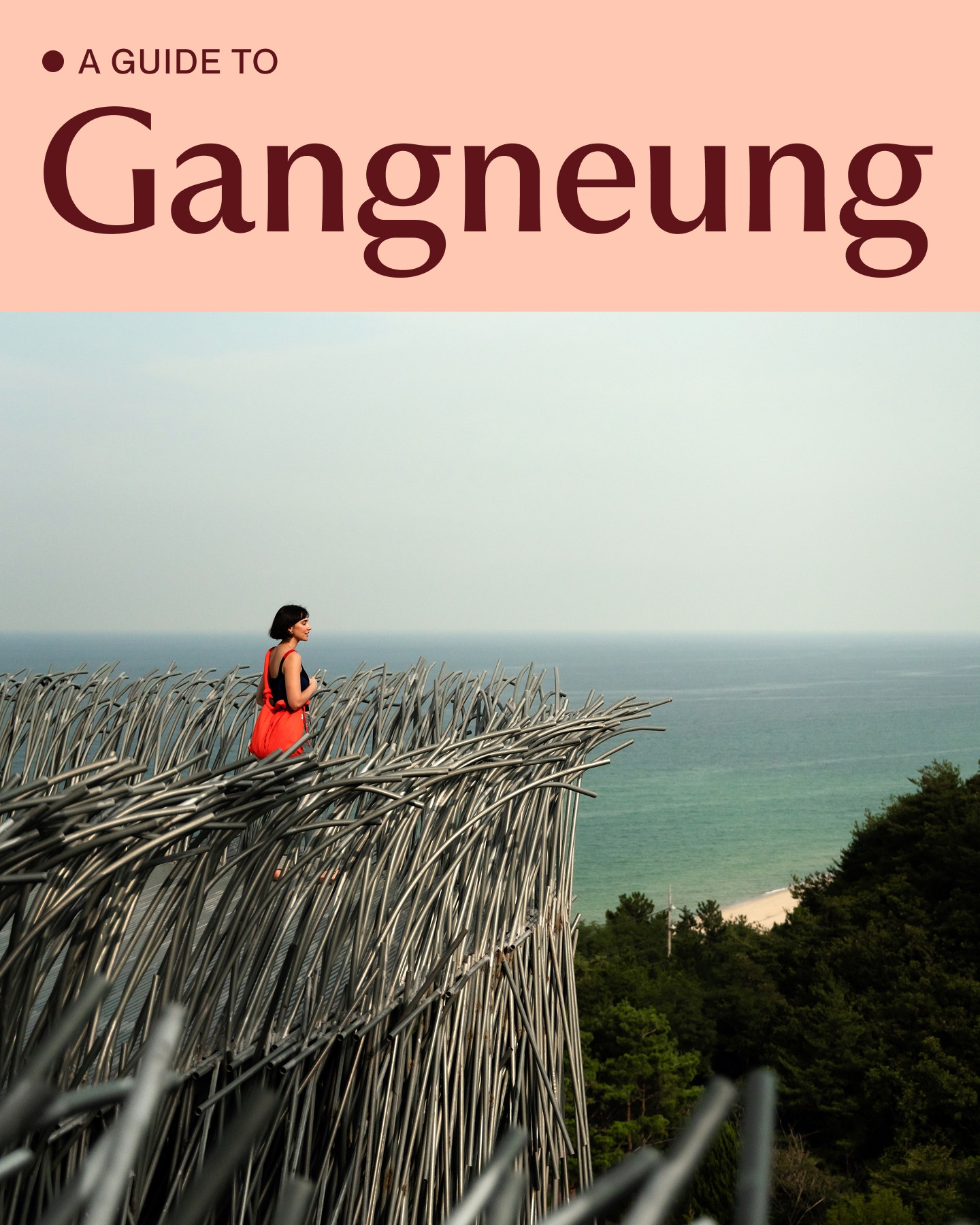 Gangneung: Art, K-Culture, and Coastal Delights