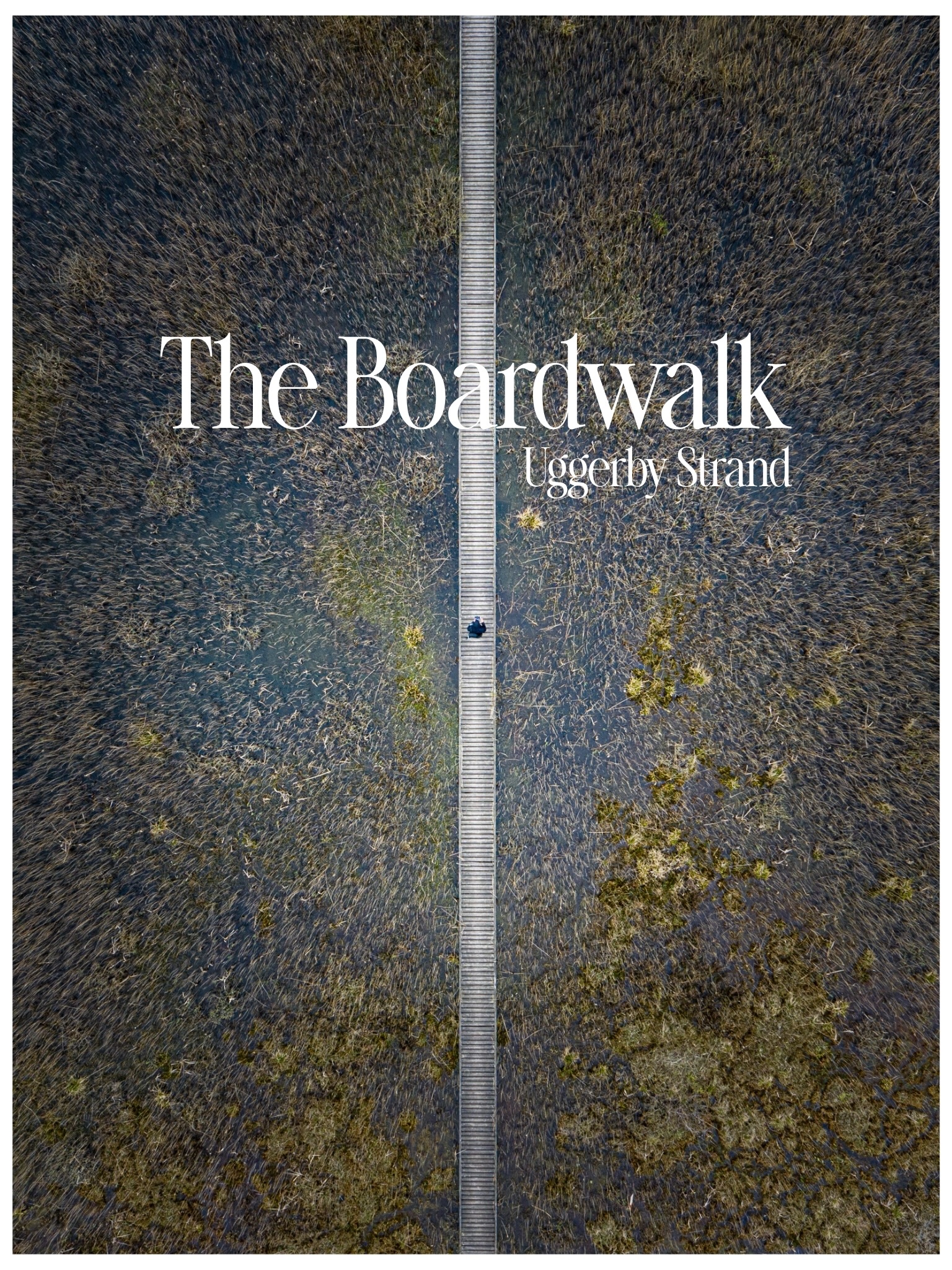 Coastal Boardwalks Near Hirtshals