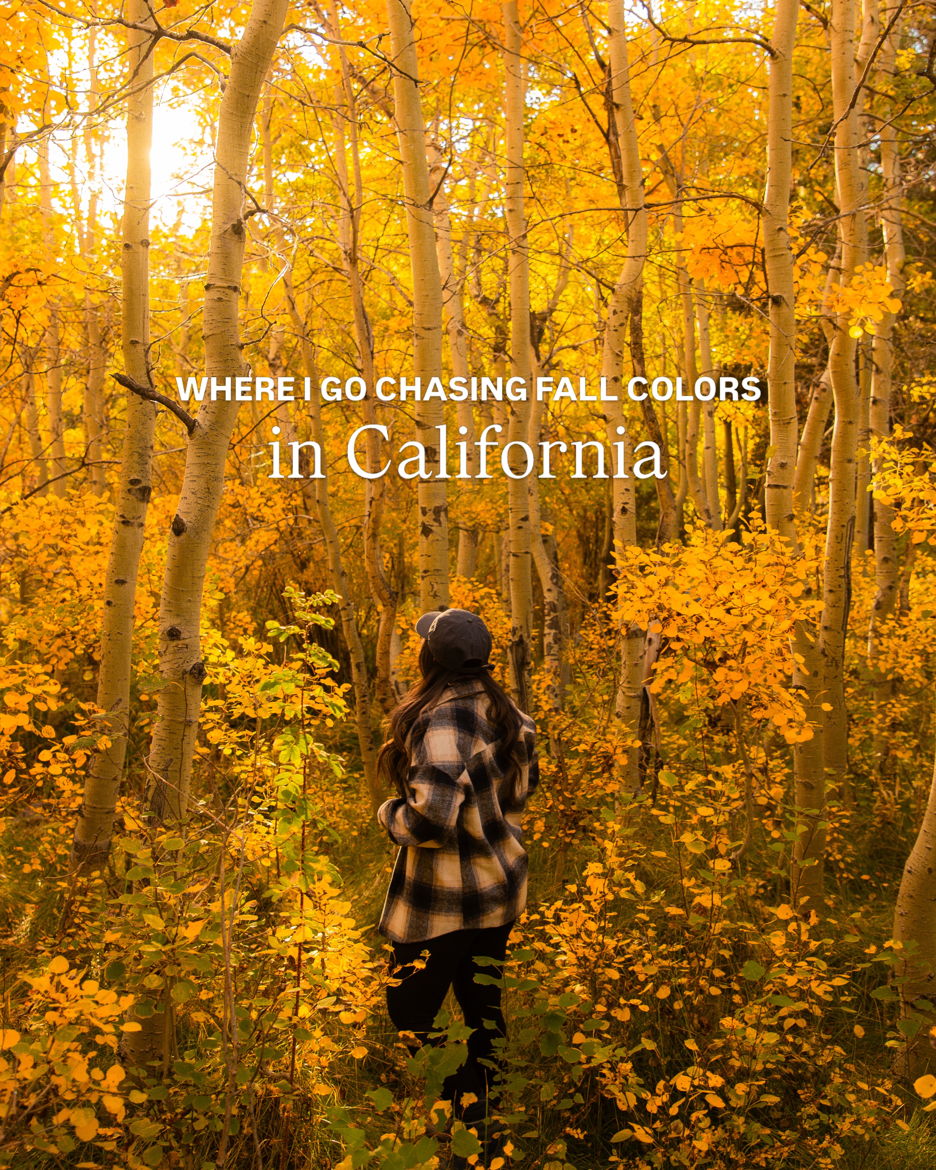 California's Best Fall Foliage Destinations