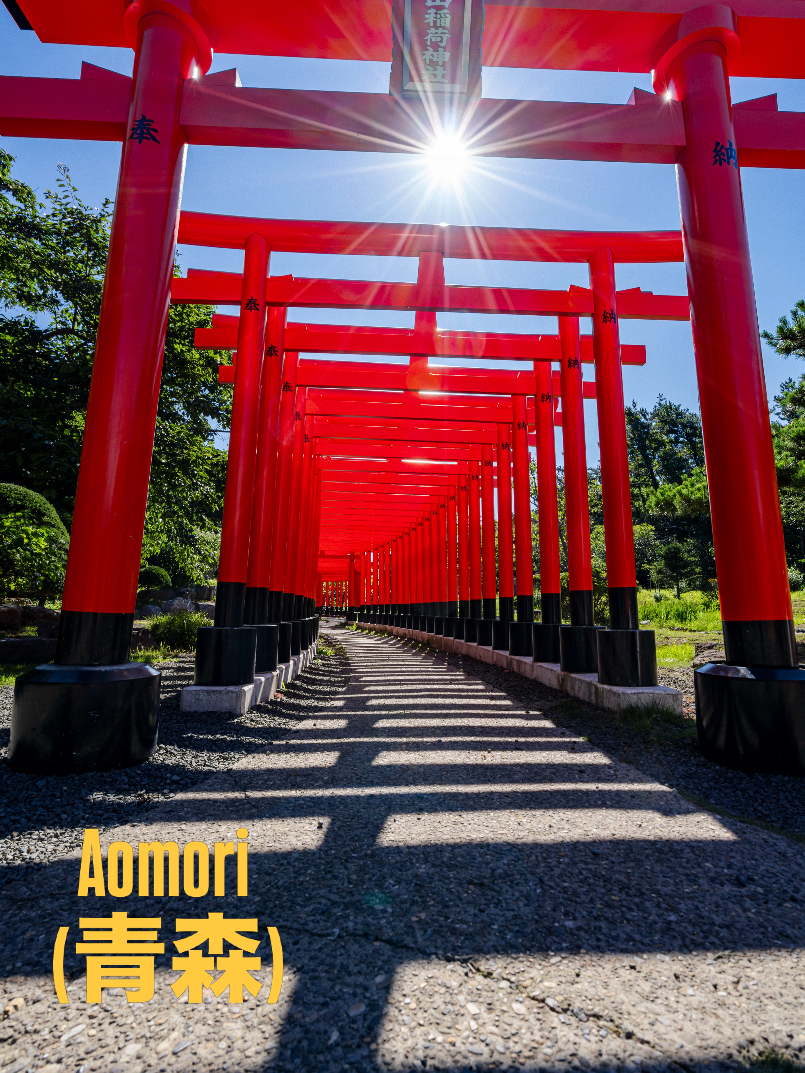 Aomori's Unique Shrines, Apple Orchards, and Rice Art