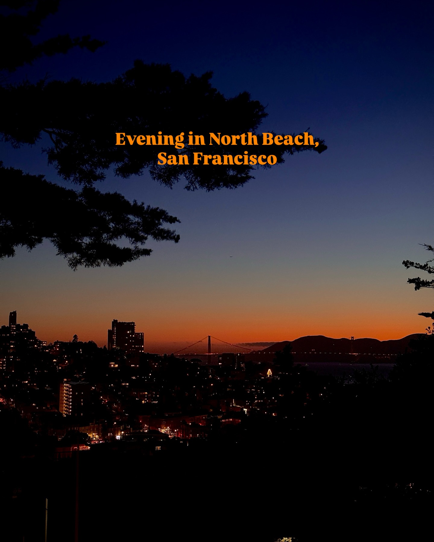 North Beach Italian Dining, Views, and Gelato