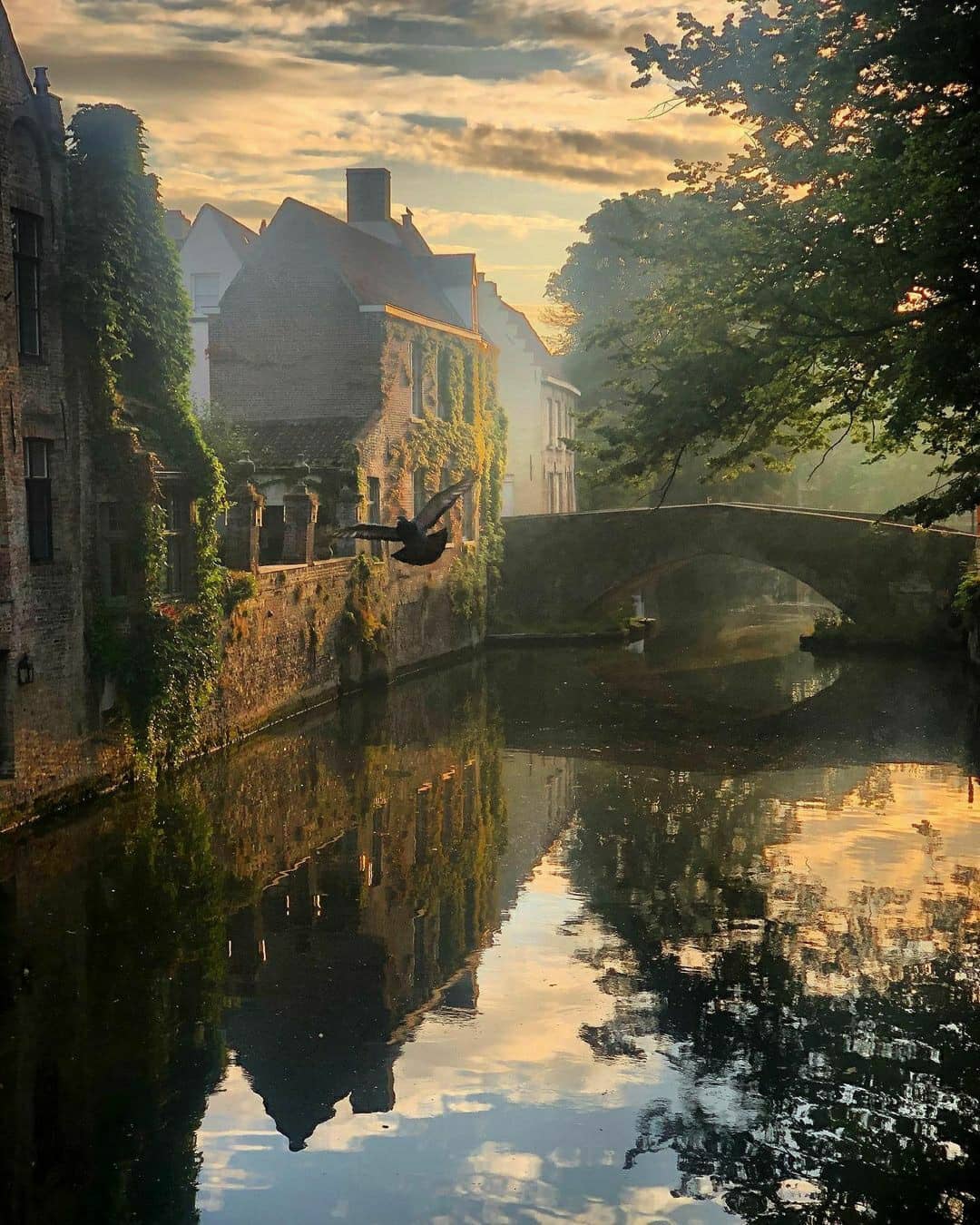 Bruges' Most Picturesque Canals, Markets, and Streets