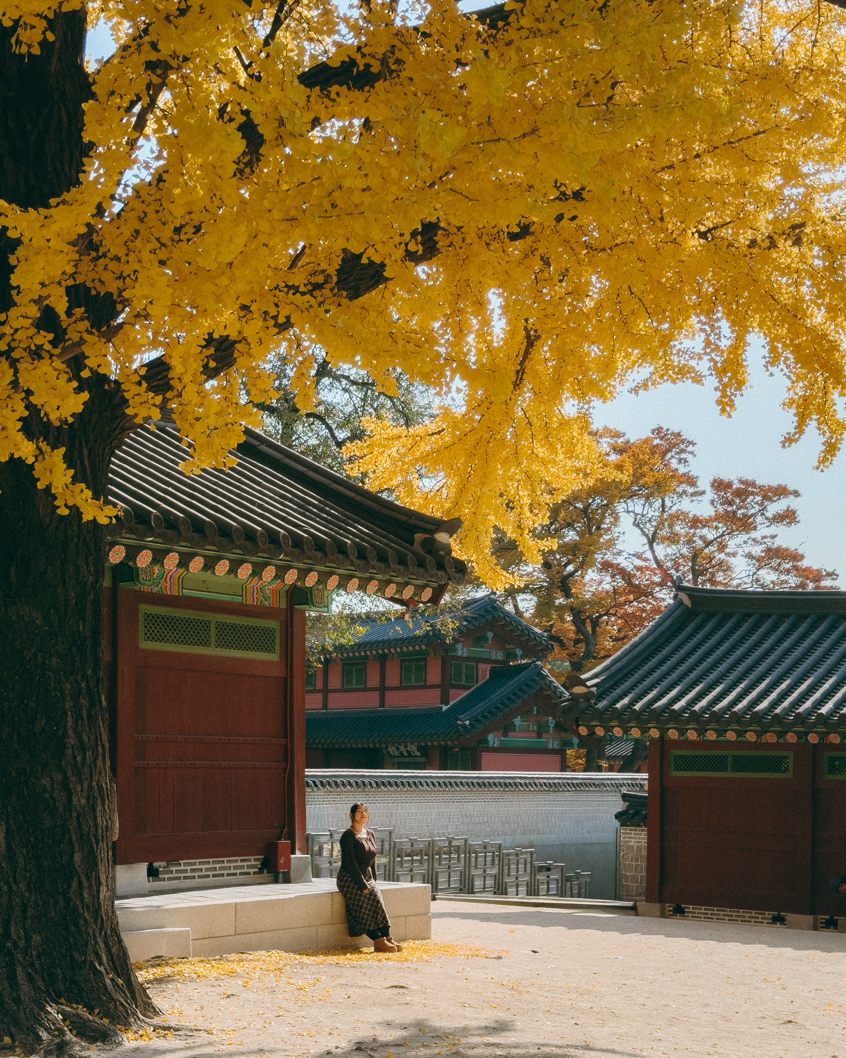 7 Places in Seoul