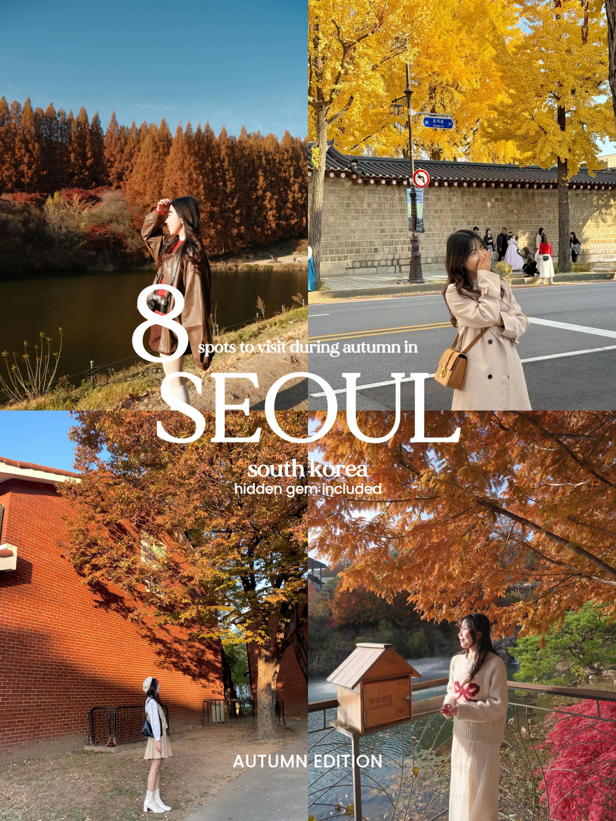 Seoul's Best Parks for Autumn Foliage