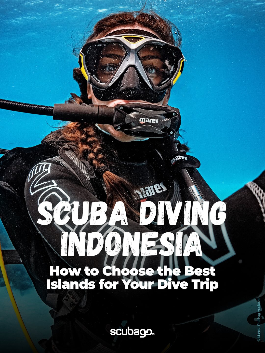Indonesian Dive Spots For Marine Life And Coral