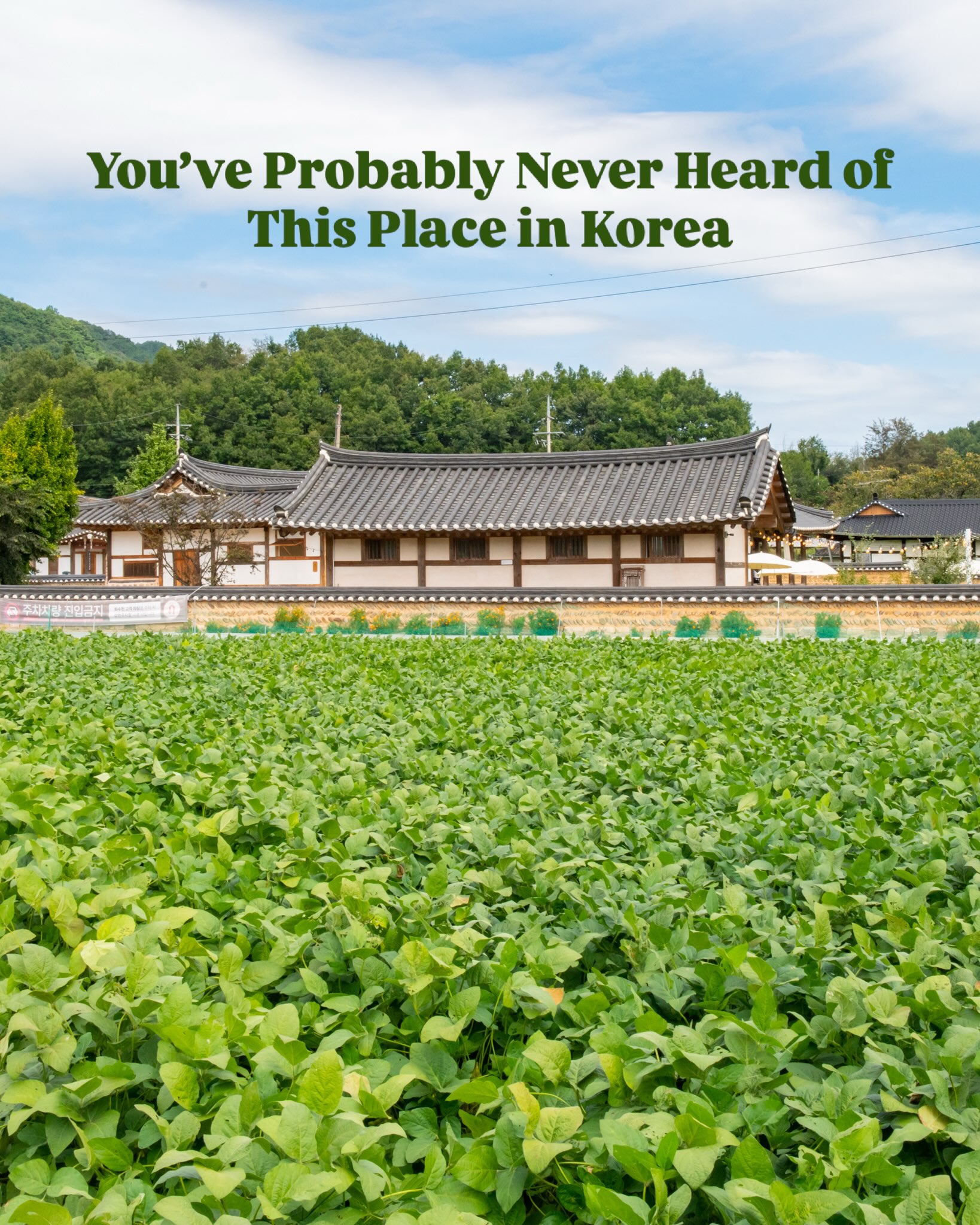 South Korean Rural Charm: Mungyeong & Hwasuheon