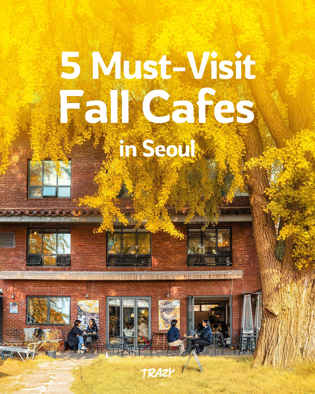 Seoul Cafes With Cozy Fall Vibes