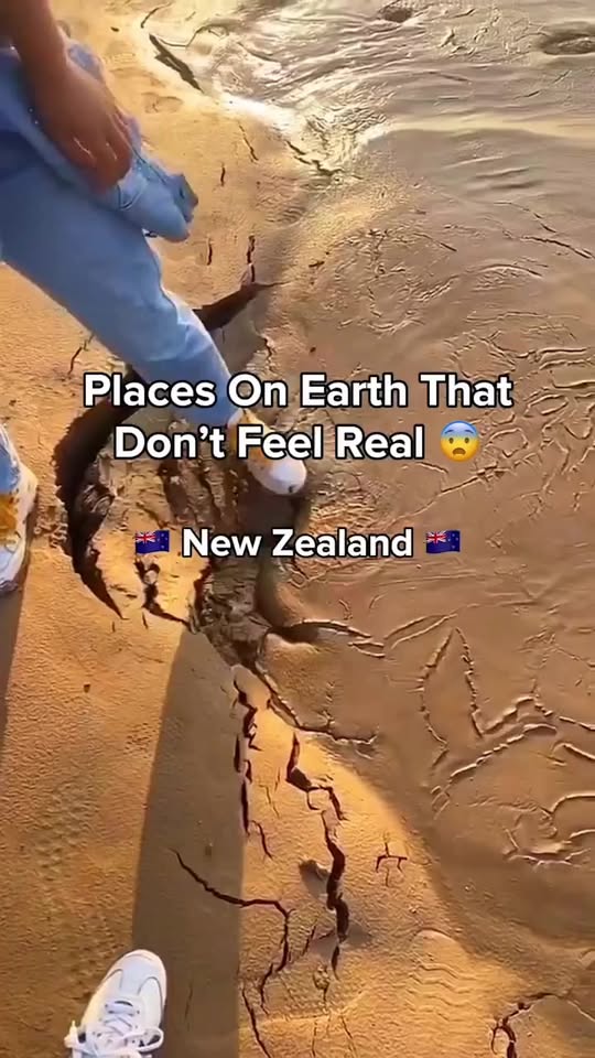 Exploring The Beauty Of New Zealand