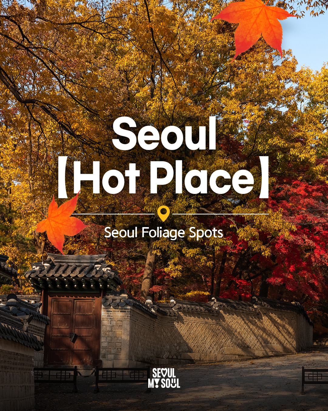 Seoul's Best Parks and Palaces For Fall Foliage