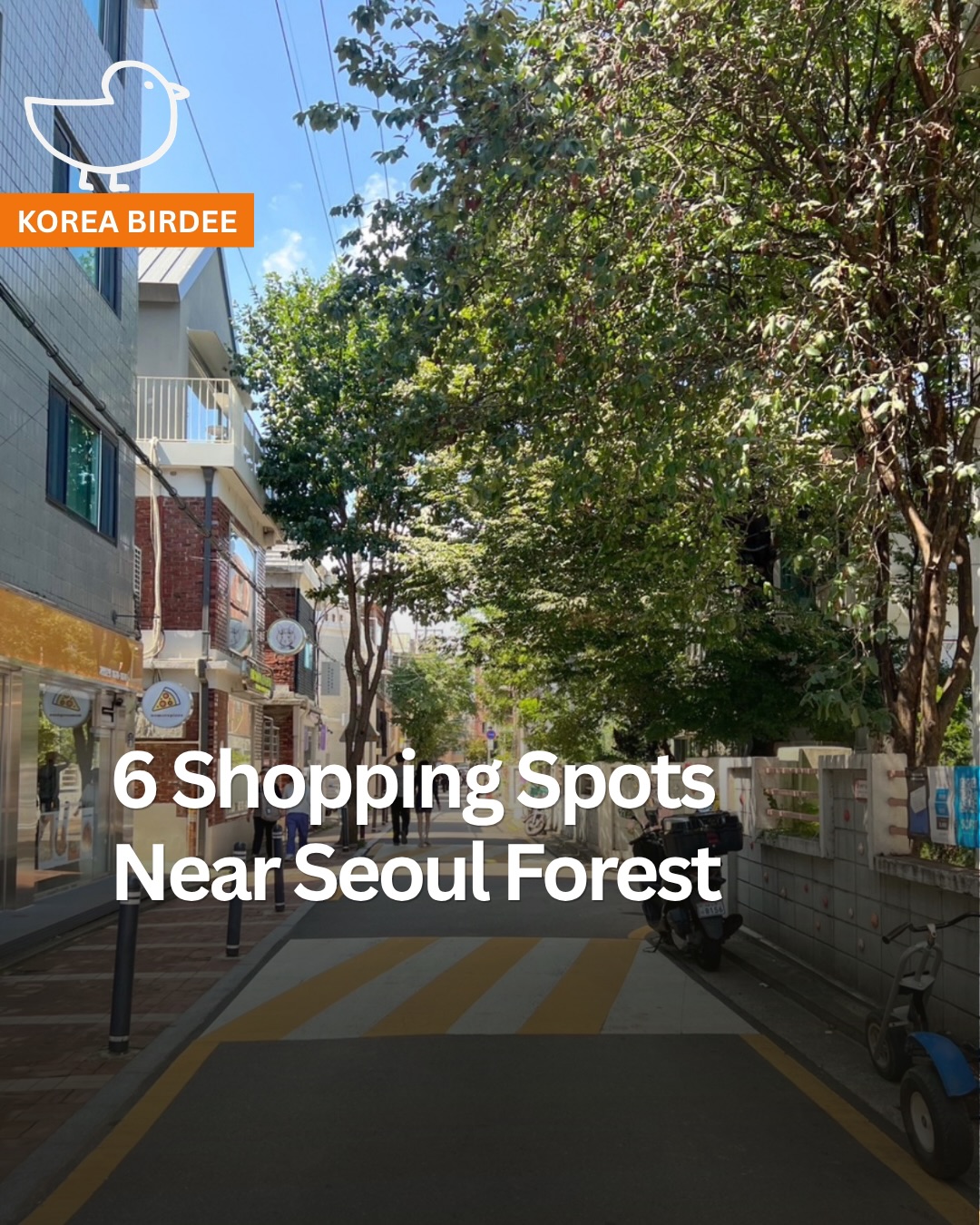 Six Seoul Forest Area Showrooms And Lifestyle Stores