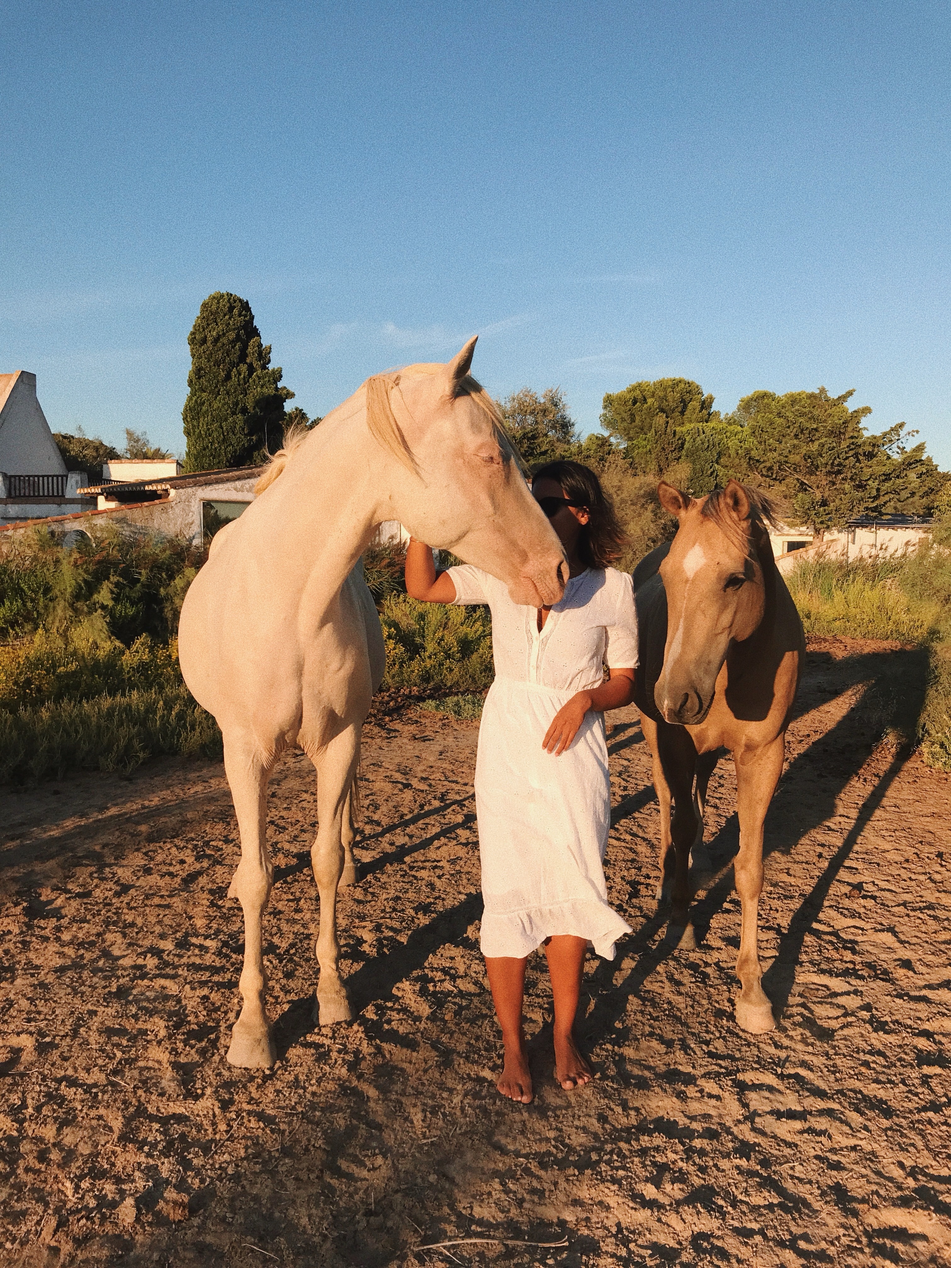 Camargue Destinations: Stables, Salt Marshes, and Sea