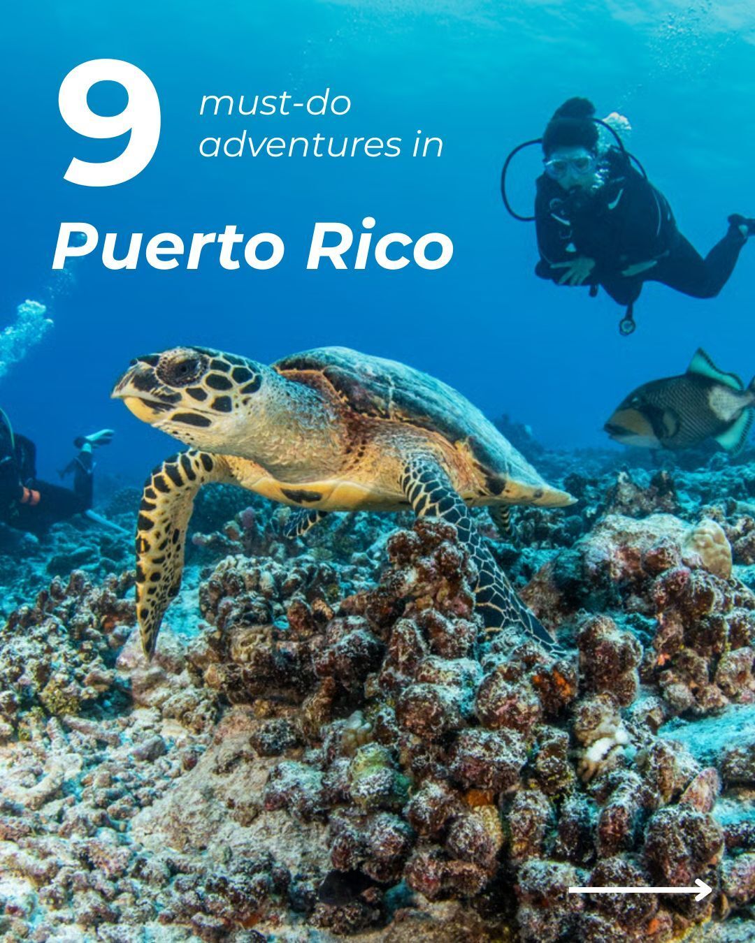 Puerto Rico Adventures: Rainforests, Bio Bays, and More