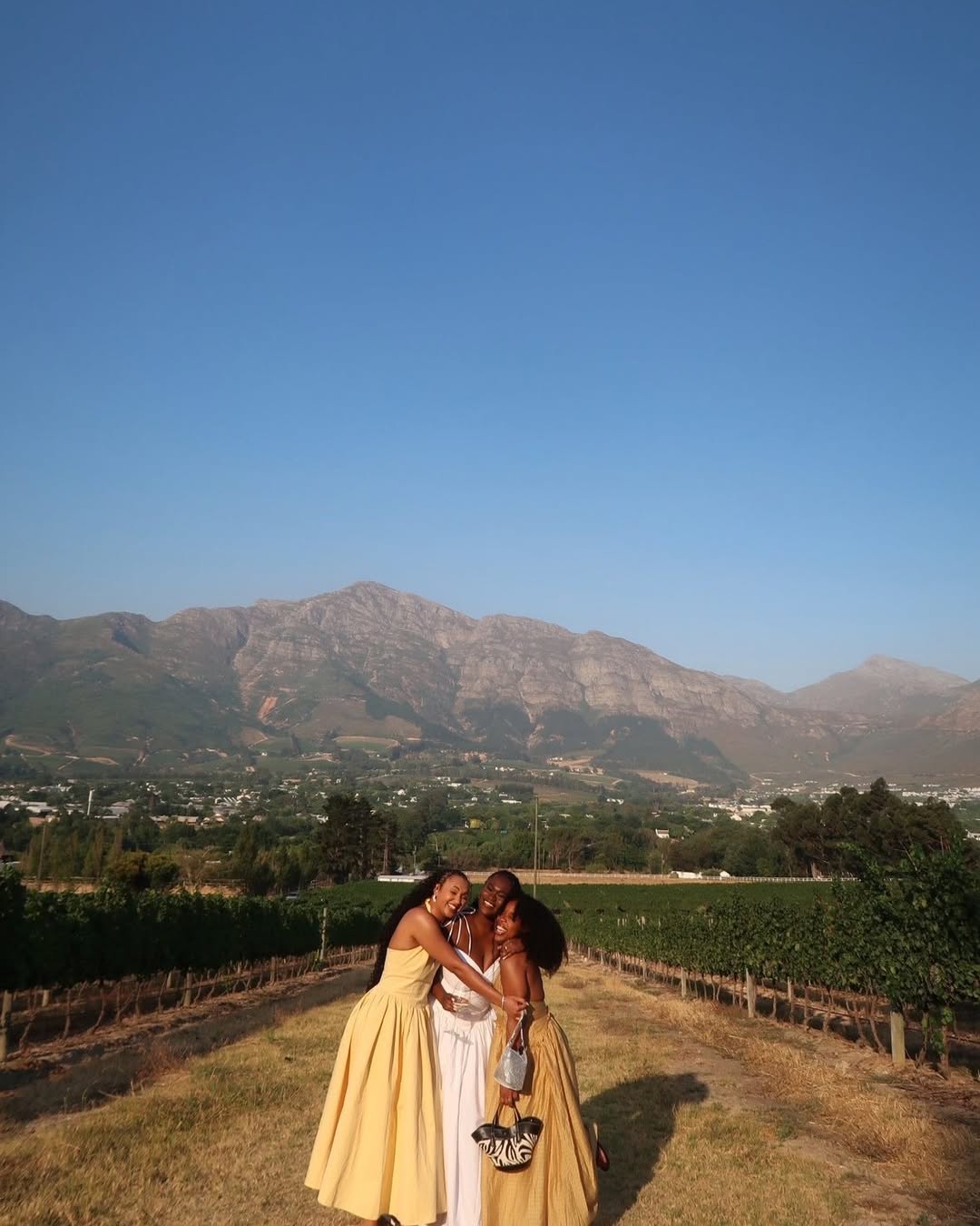 Cape Town Wine Estates Offer Cultured Experiences