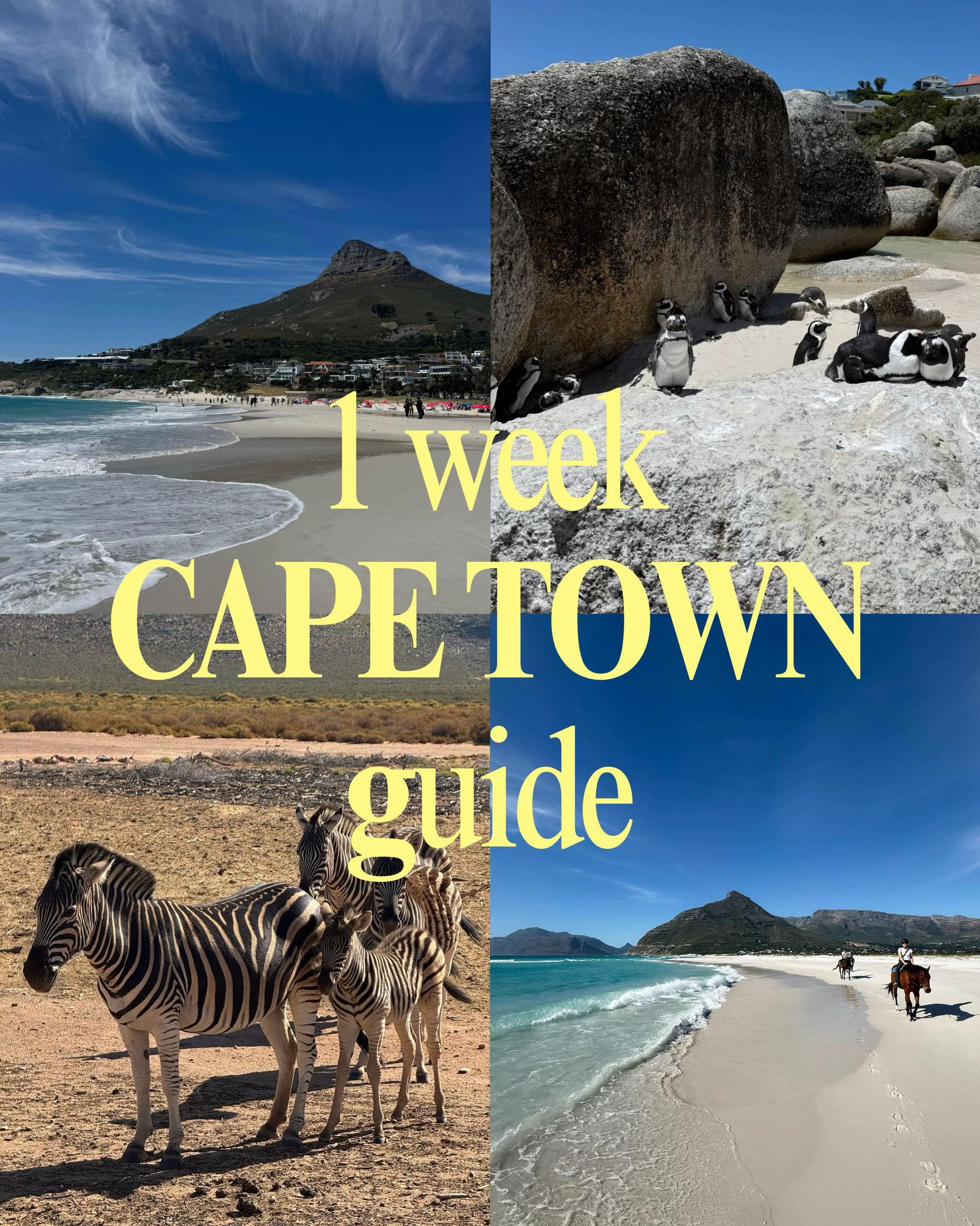 Top Cape Town Attractions and Destinations