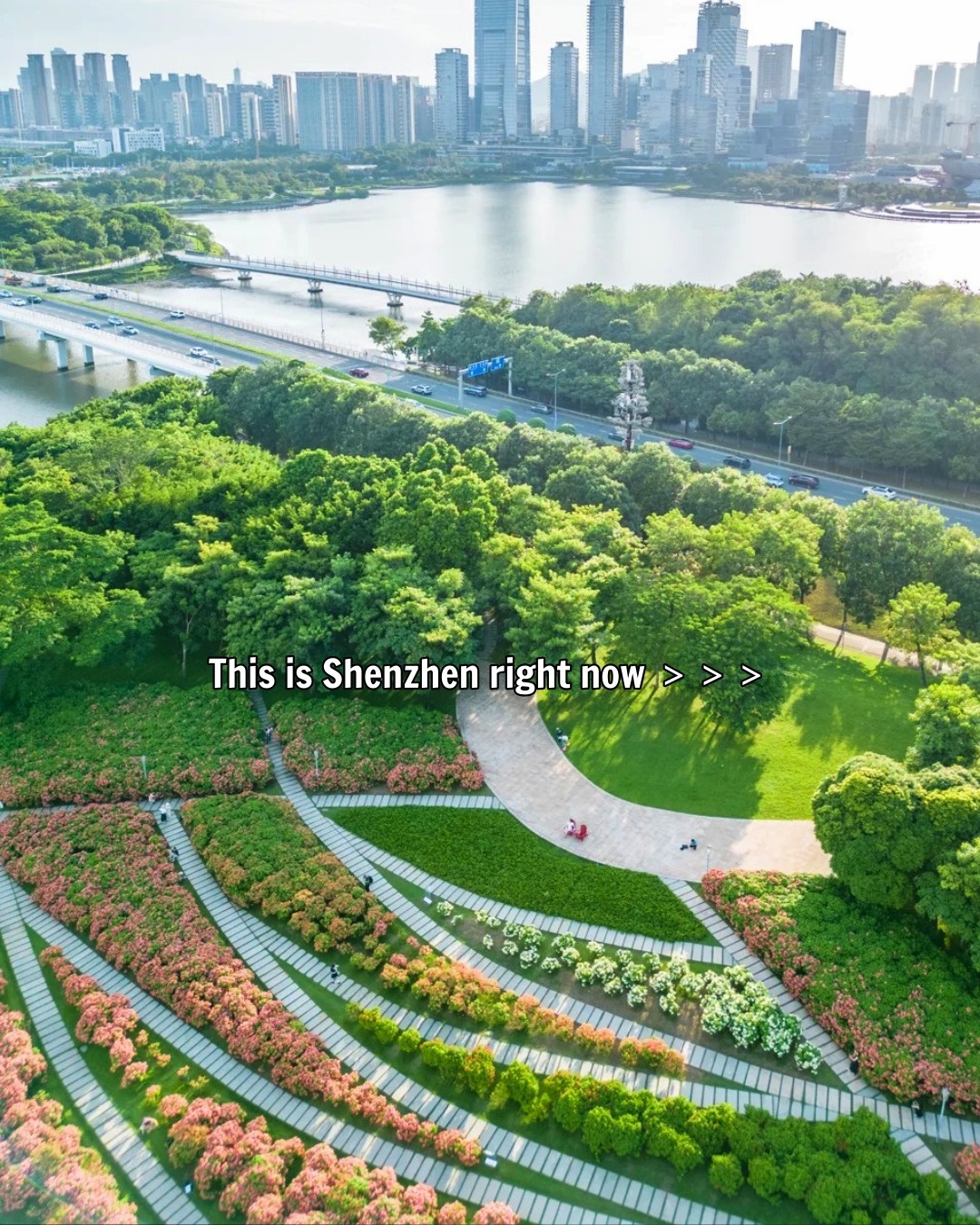 Shenzhen's Parks Bloom with Seasonal Beauty