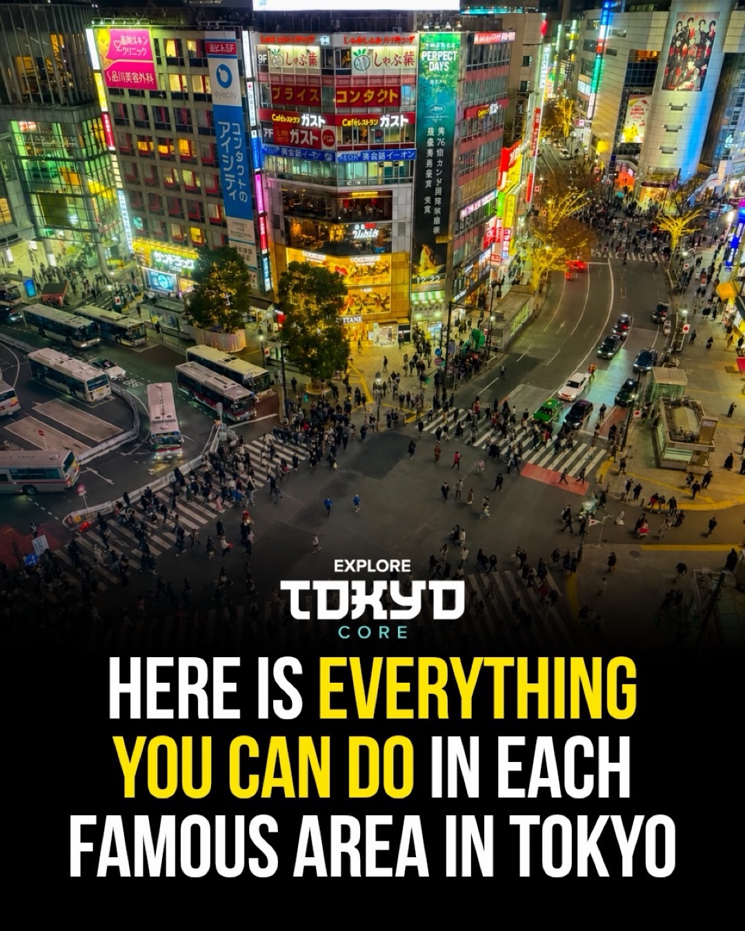 Tokyo Neighborhoods and Their Best Attractions