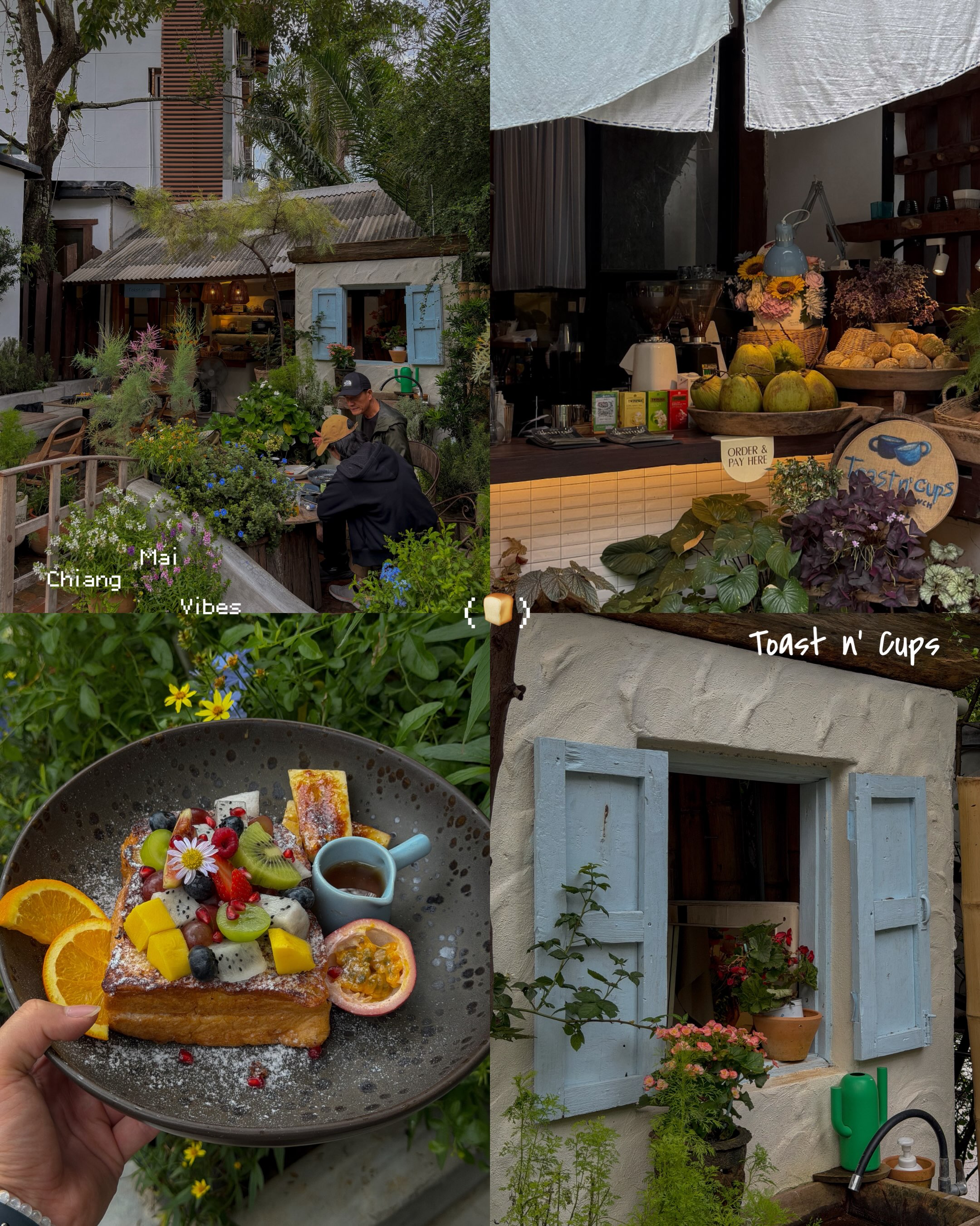 Chiang Mai Cafe With Ghibli Charm And Delicious Toast