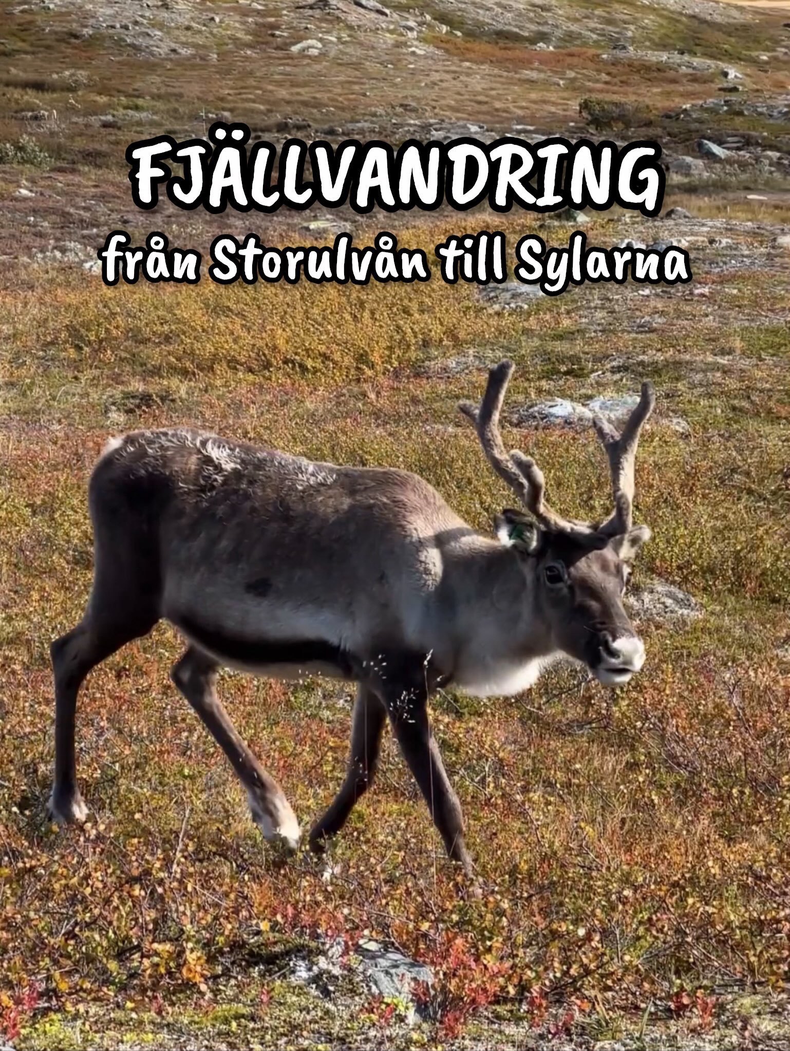 3 Places in Jämtlands län