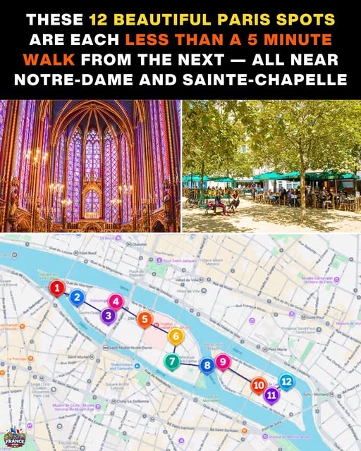 Parisian Landmarks Near Notre-Dame