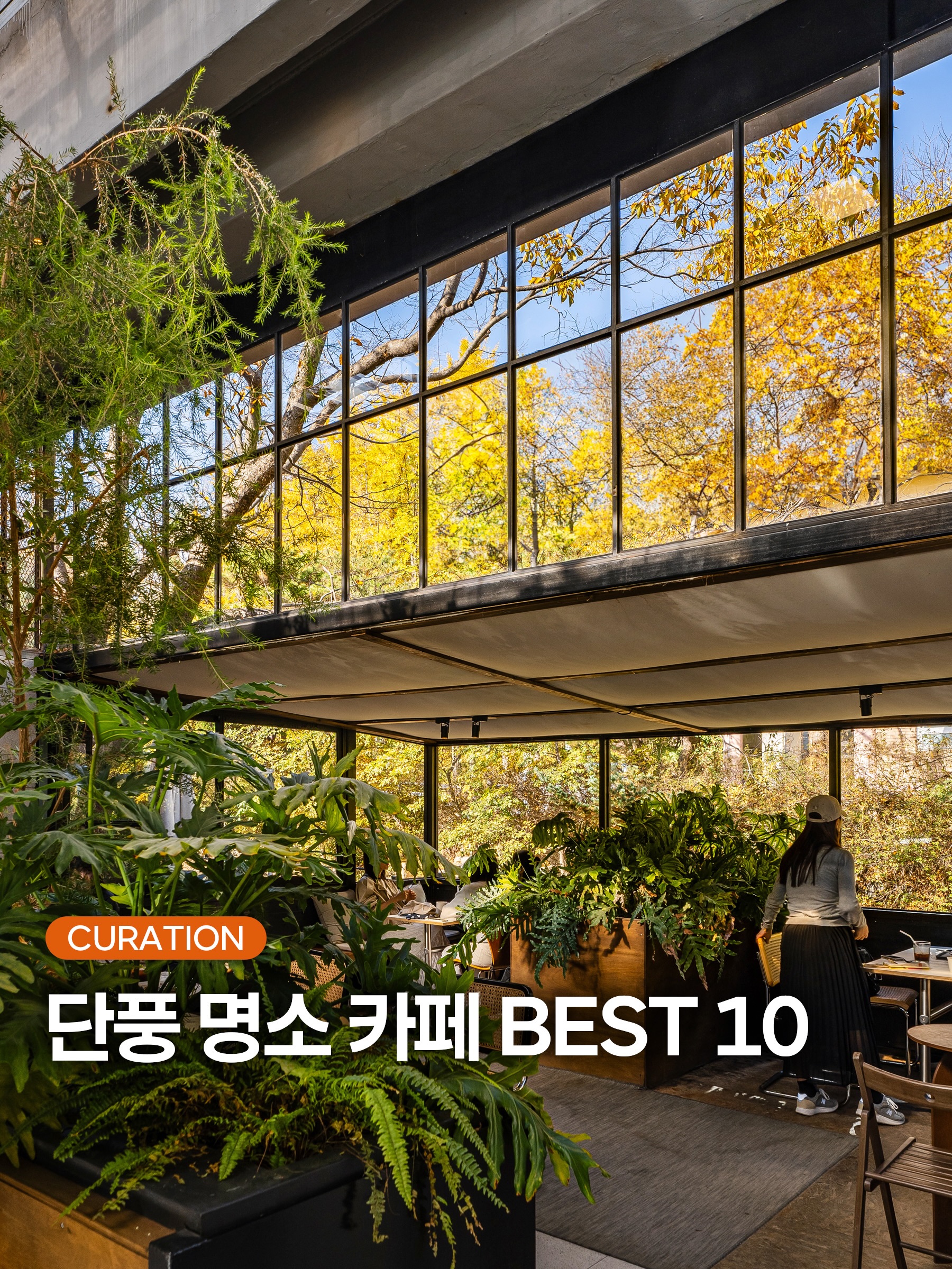 Seoul Cafes And Bakeries For Sweet Treats