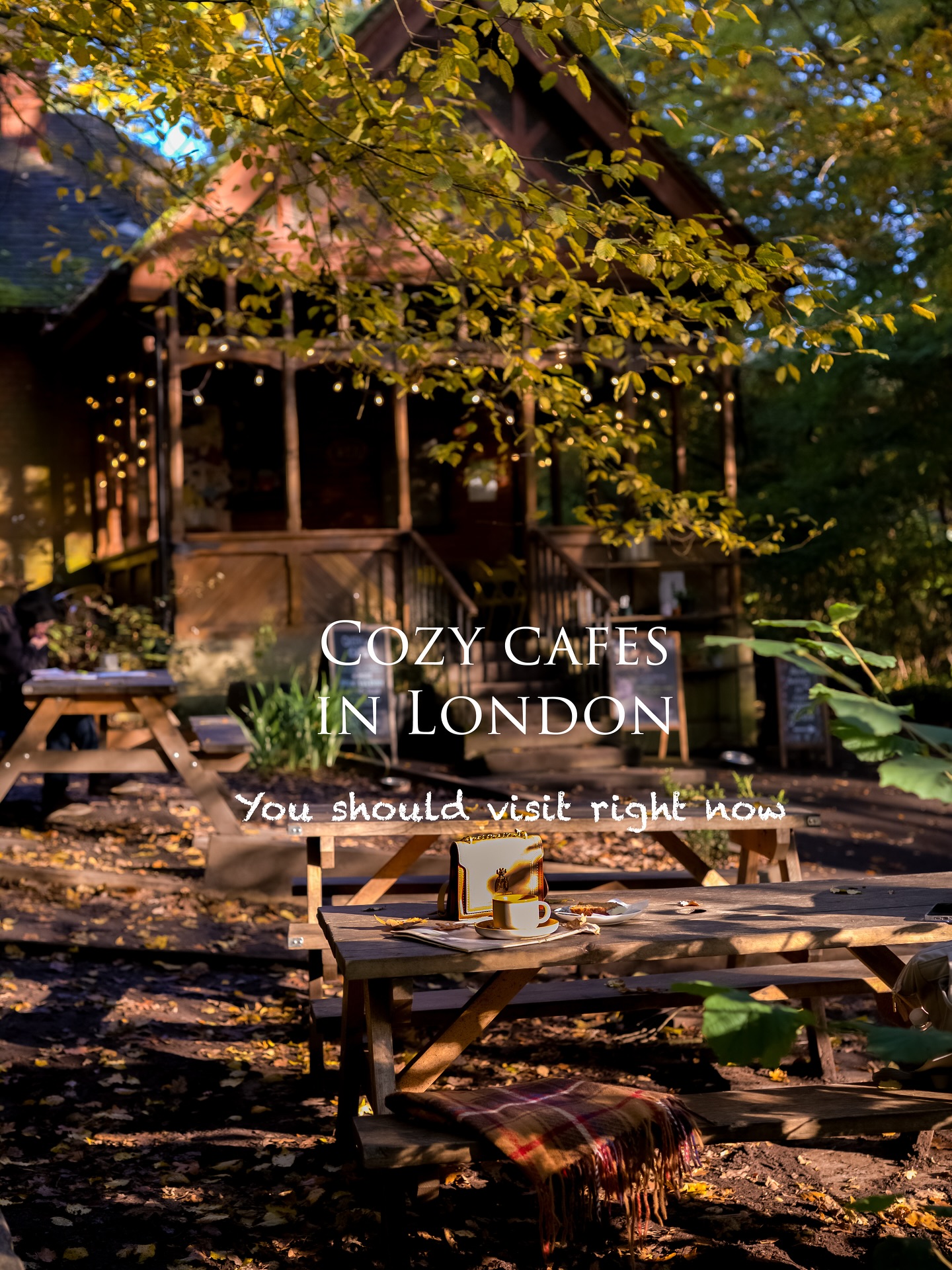 Cozy London Cafes and Galleries