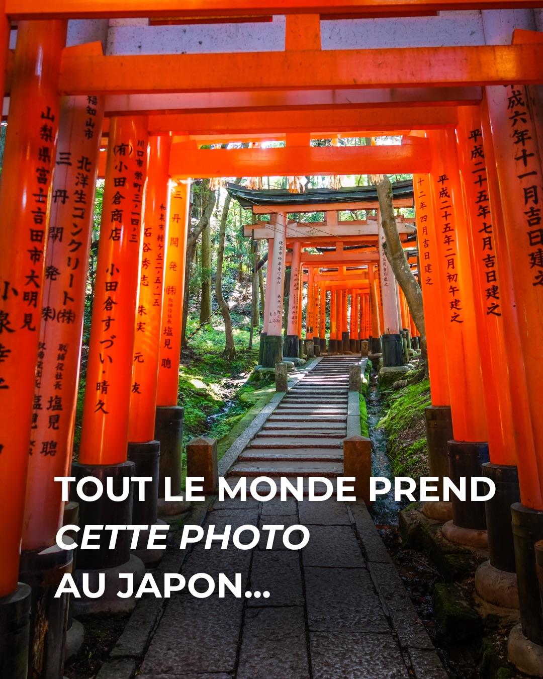 Popular Japanese Landmarks and Secluded Alternatives