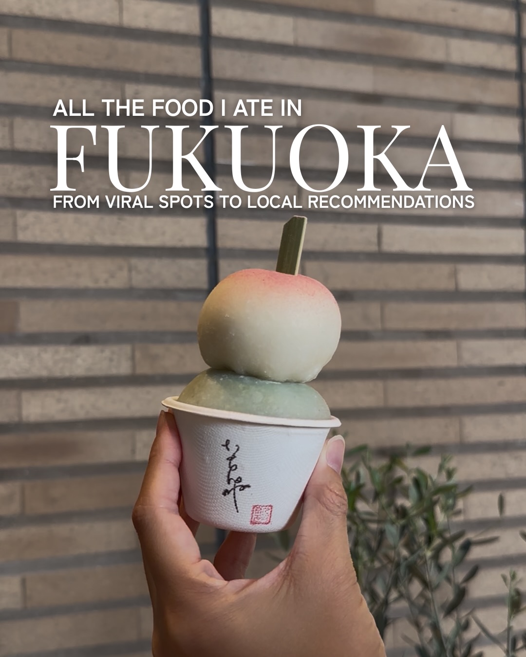 Fukuoka's Culinary Hotspots And Traditional Eats