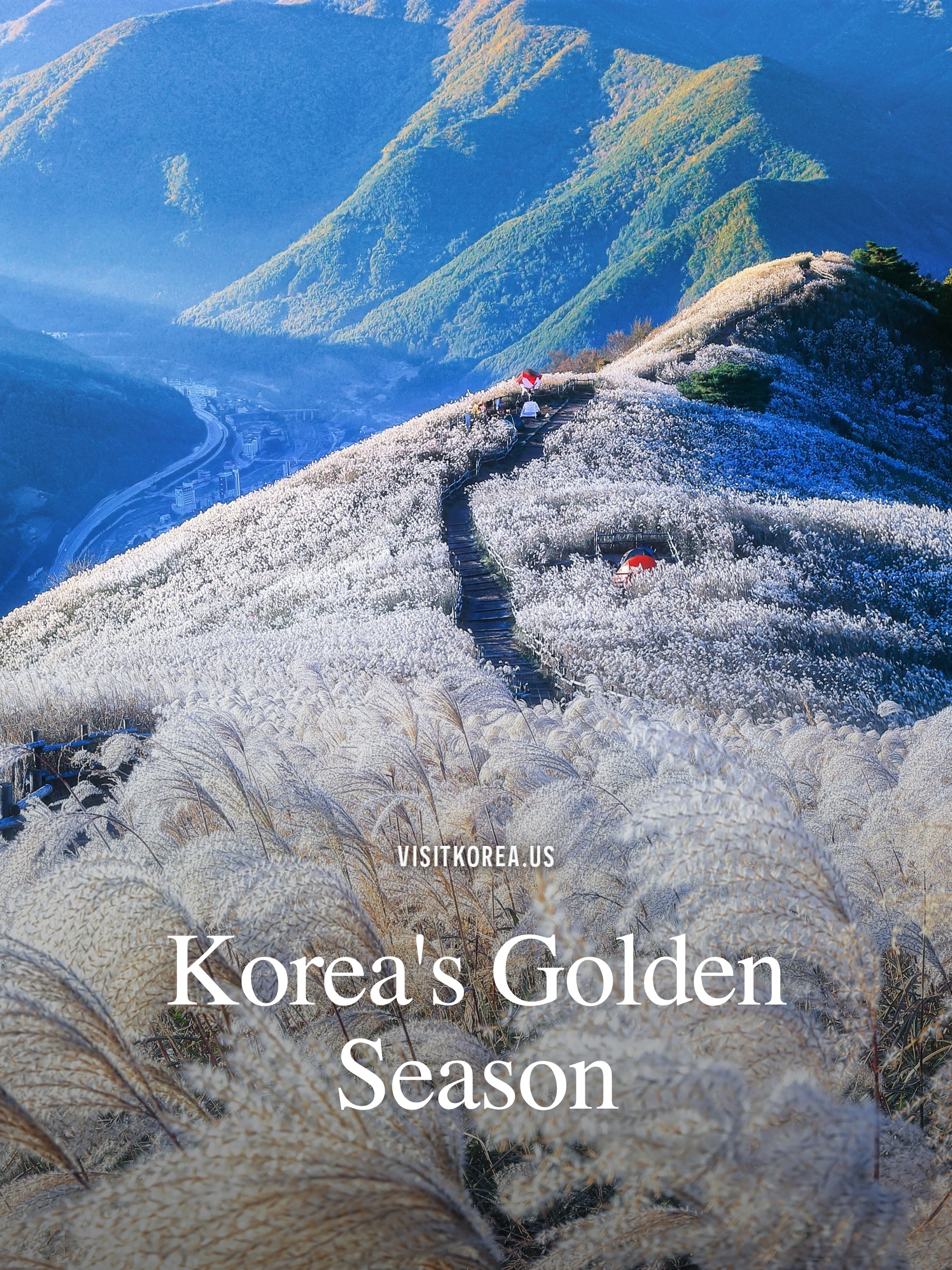 South Korea's Autumn Scenery and Silver Grass Fields