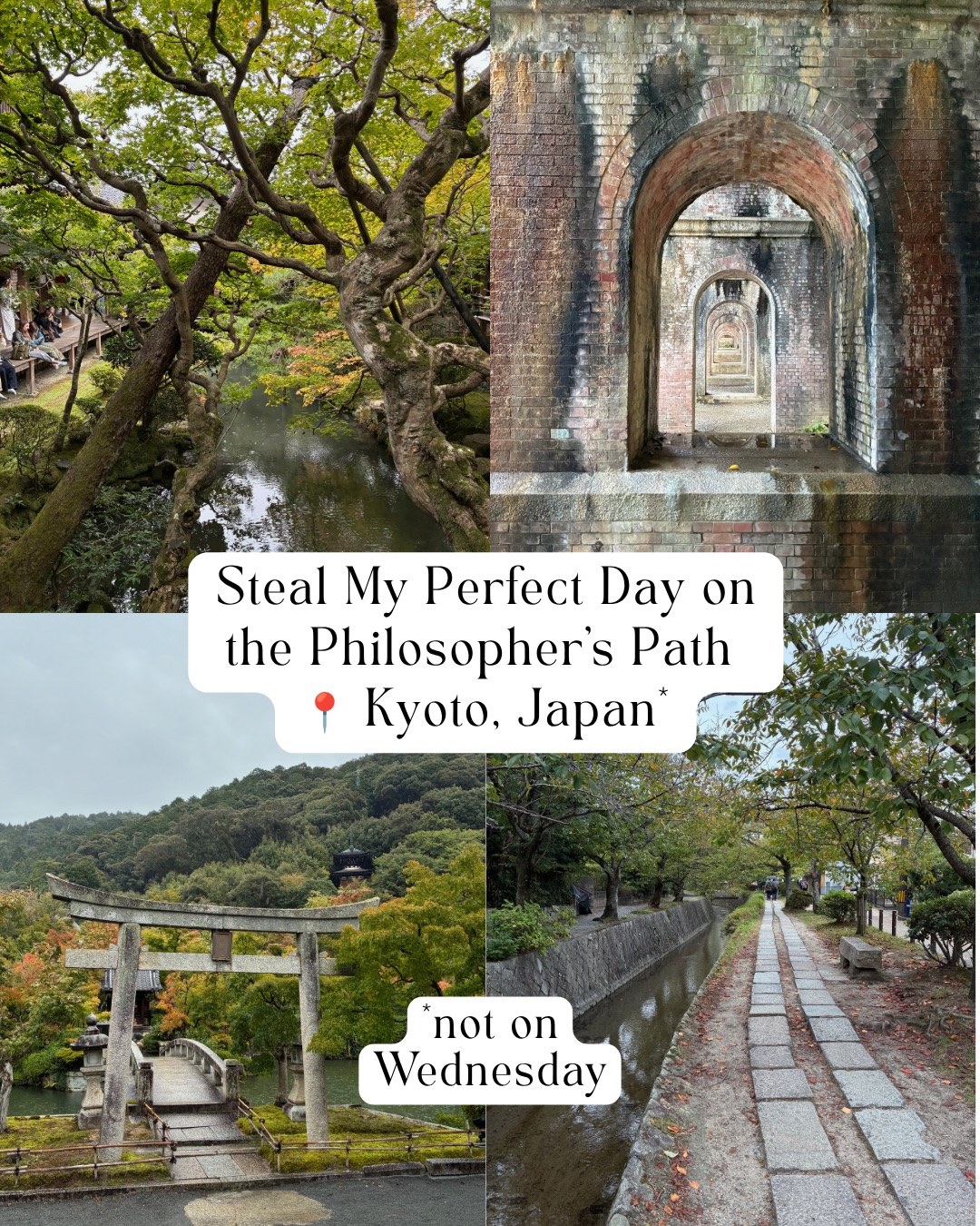 Kyoto's Philosopher's Path: Temples, Food, and Shops