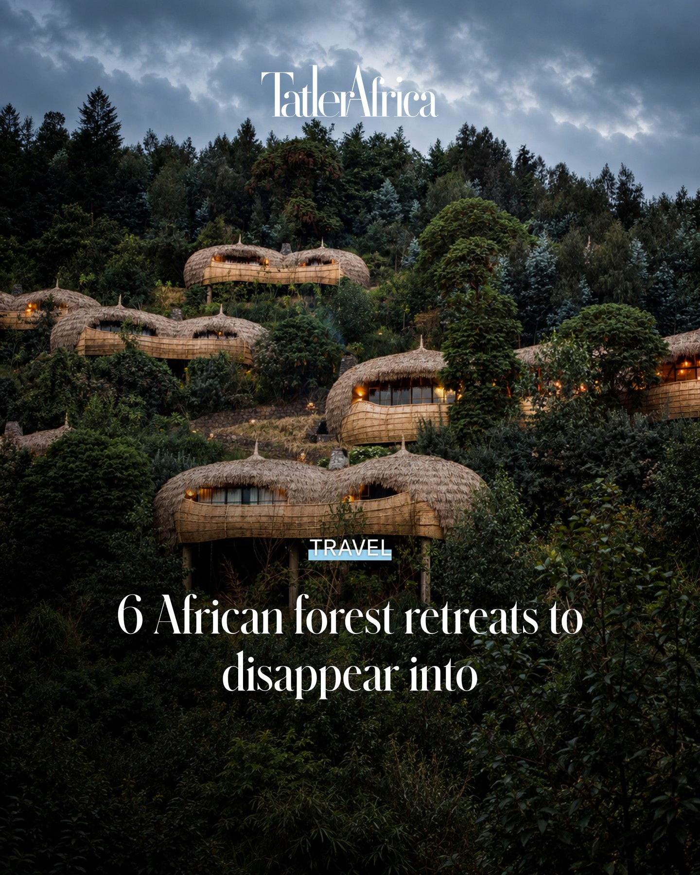 African Forest Retreats Amidst Lush Ecosystems