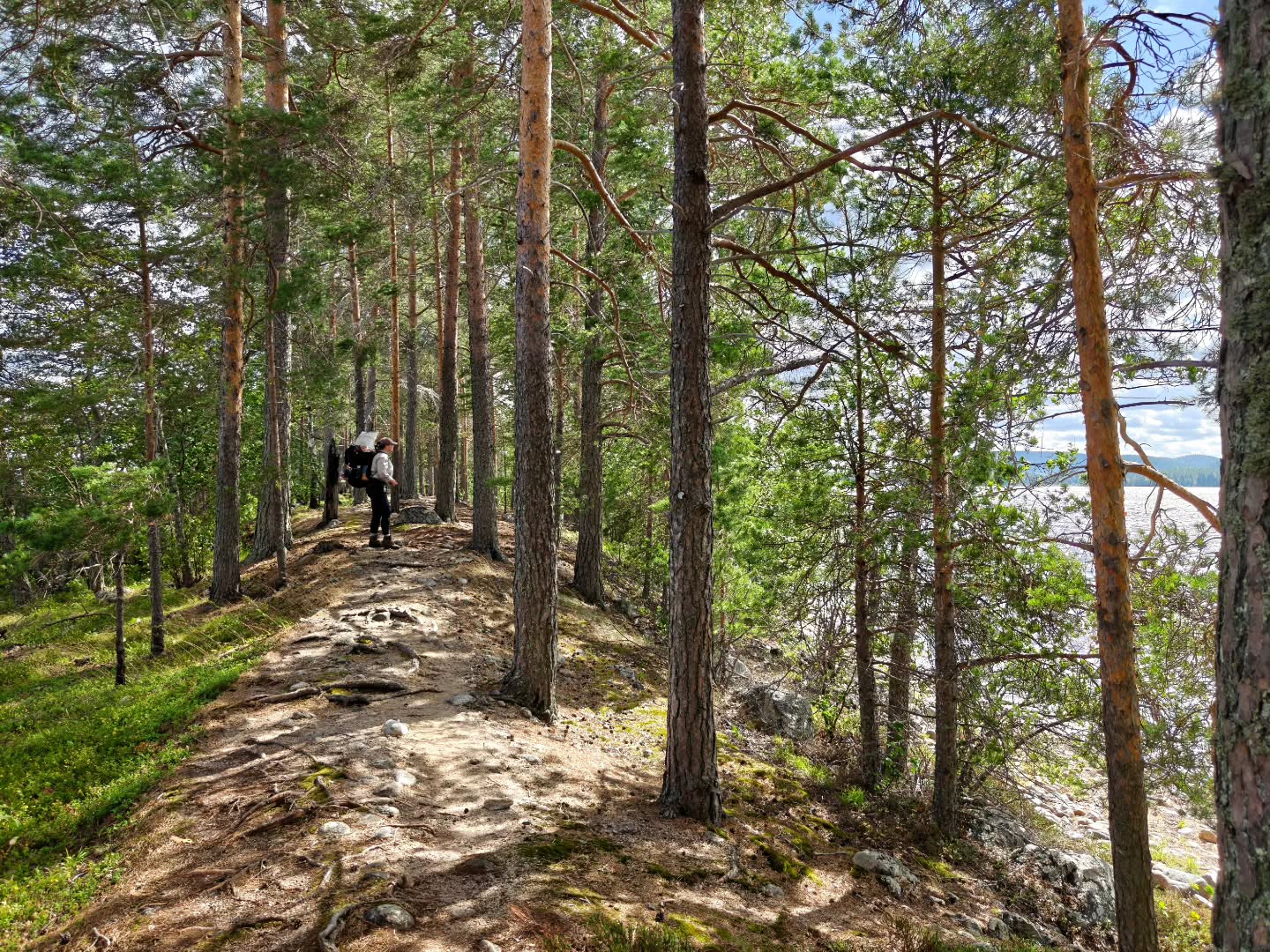 Kaiskunniemi Peninsula Offers Sandy Trails