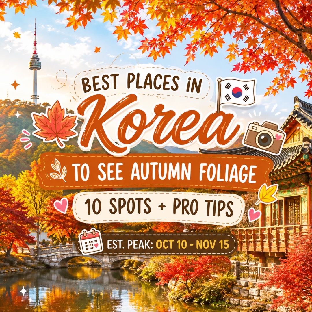 Korea's Top 10 Autumn Foliage Destinations