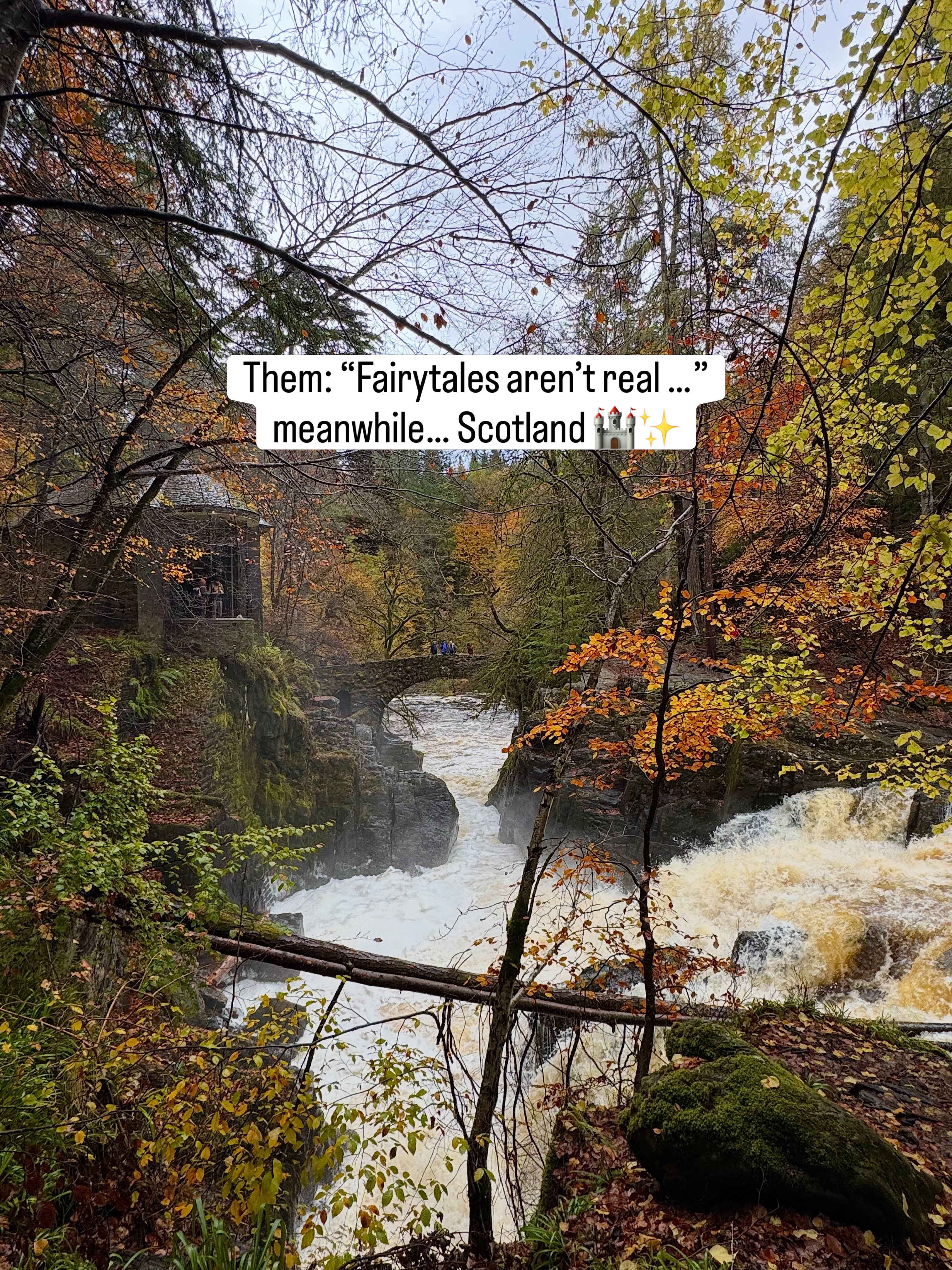 Woodland Walks to Black Linn Falls