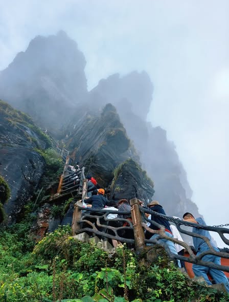 Fanjingshan's UNESCO Heritage and Biodiversity