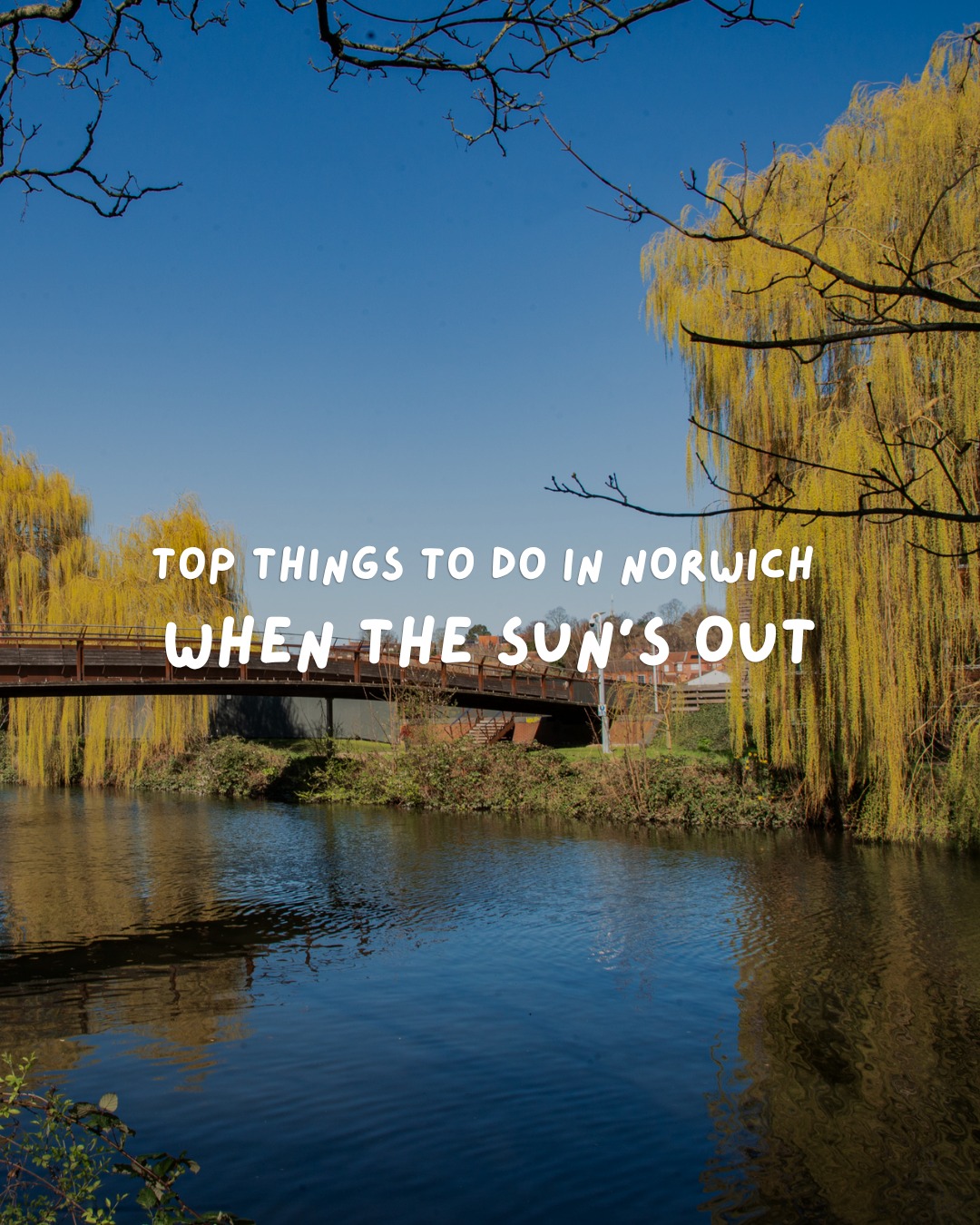 Norwich Spots For Sunny Day Adventures