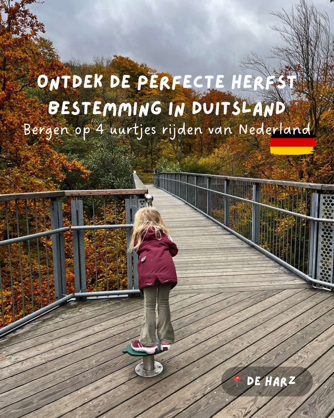 Harz Region: Autumn Adventures For Families