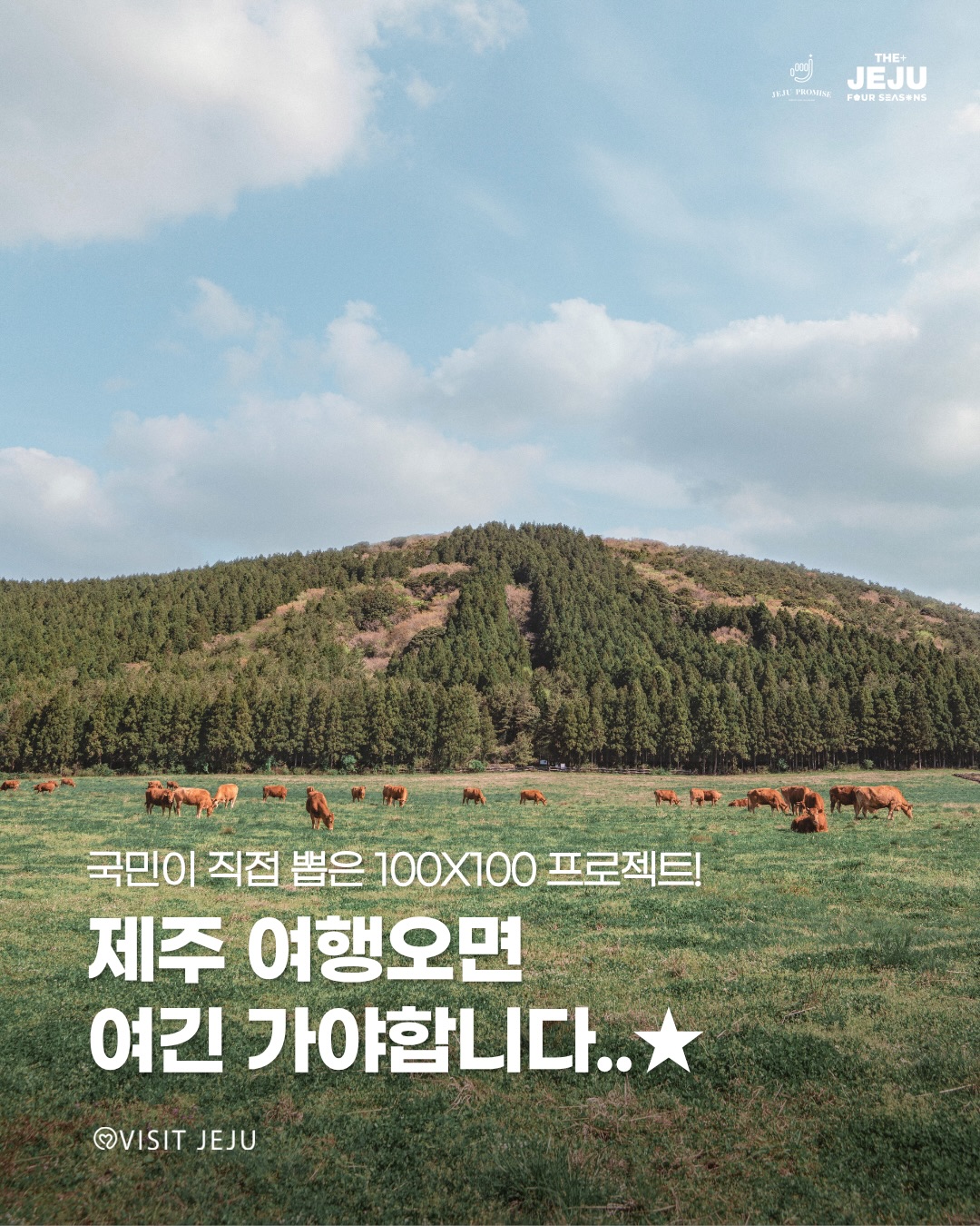Jeju's Top Publicly Voted Attractions and Hidden Gems