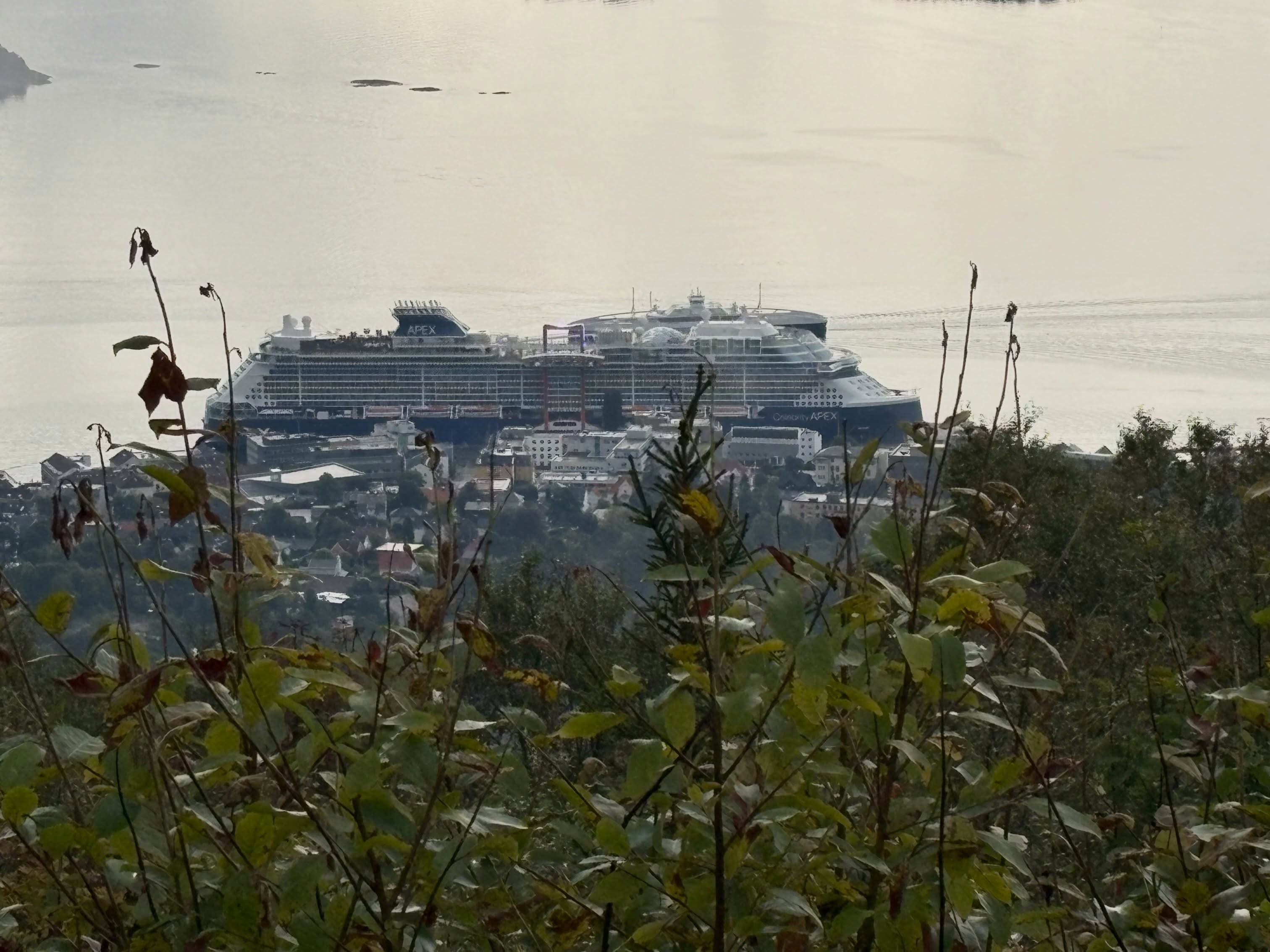 Coastal City Offers Rose Gardens and Alpine Views